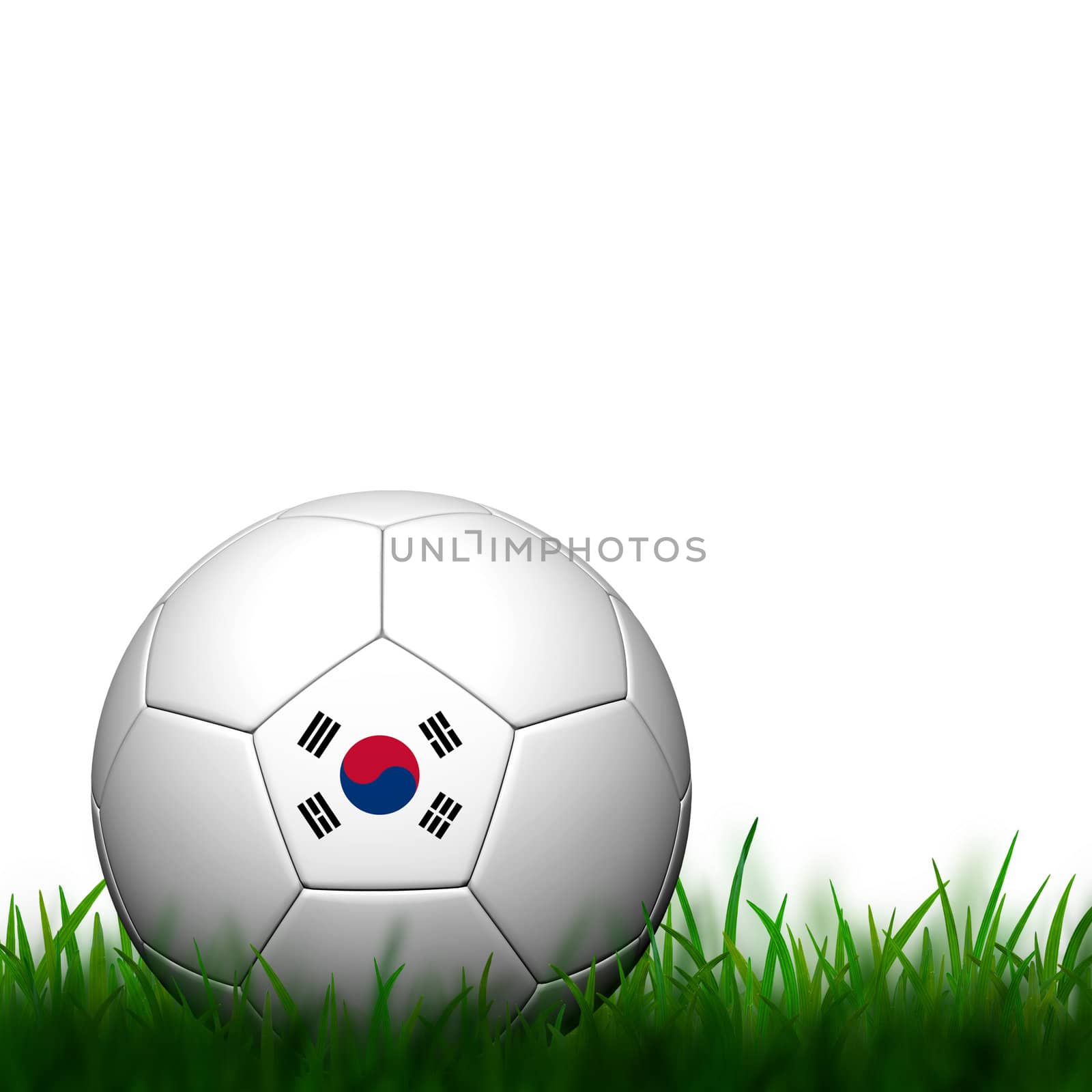 3D Football Korea Flag Patter in green grass on white background by jakgree