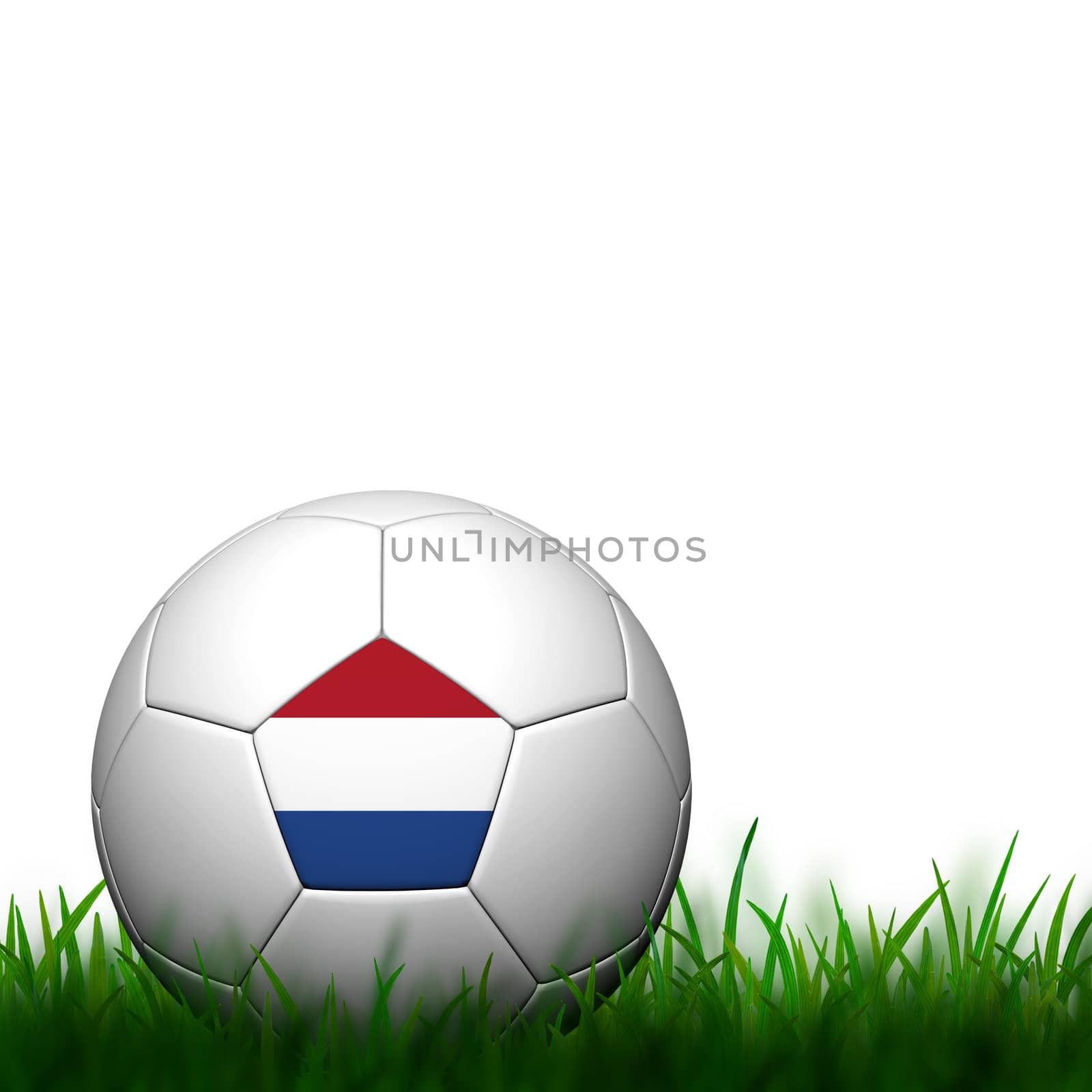 3D Football Netherlands Flag Patter in green grass on white background