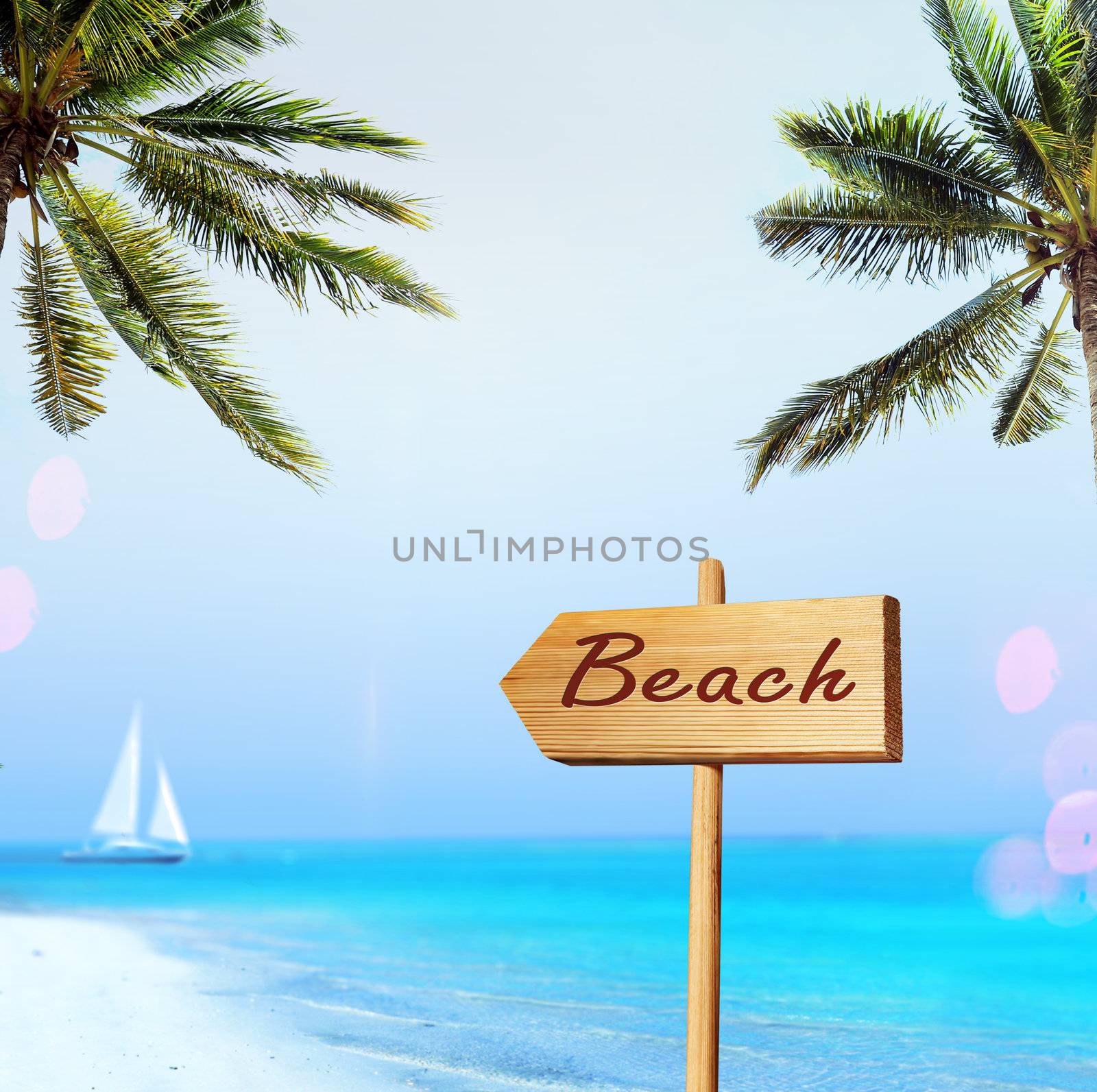 beach with palm tree over the sand and sign