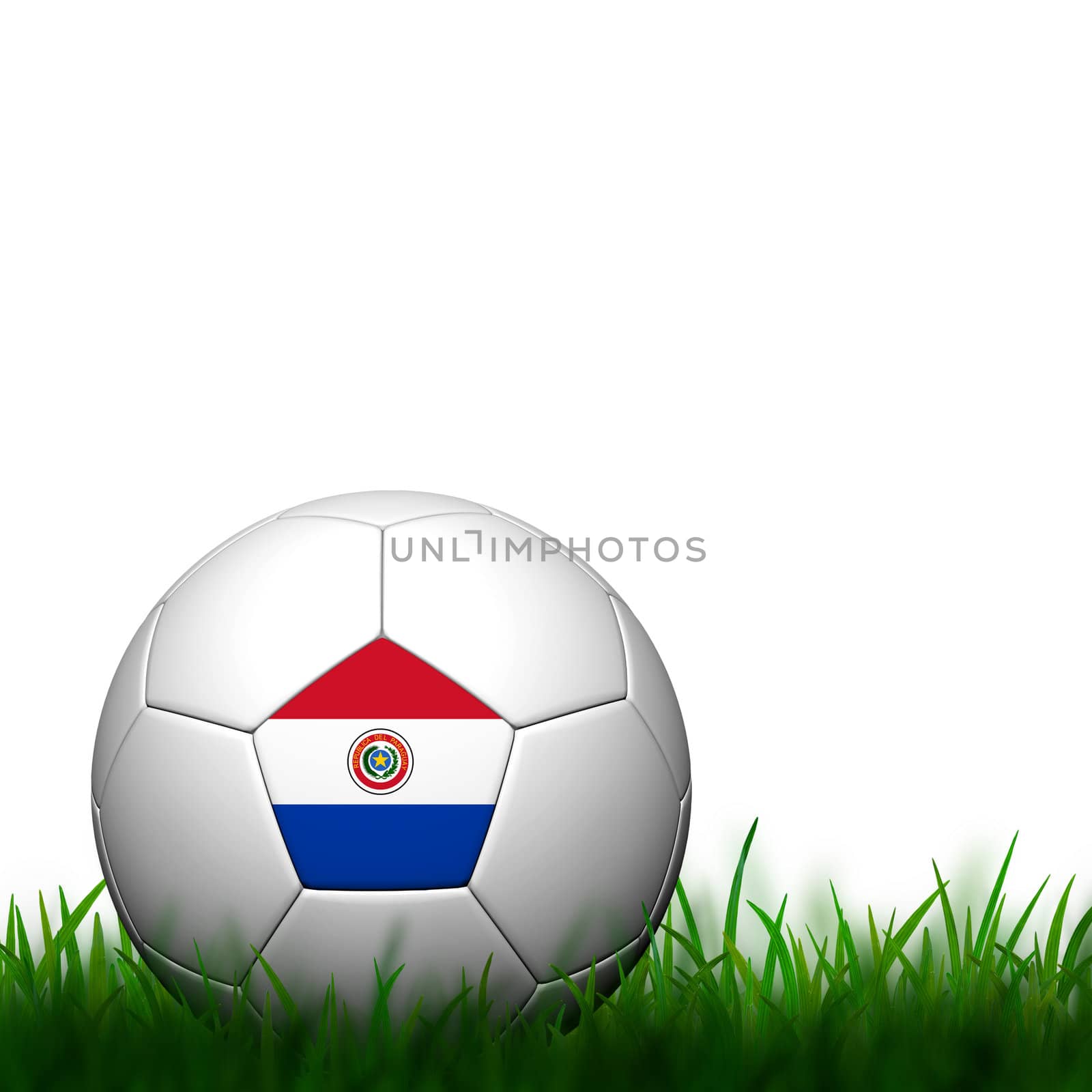 3D Football Paraguay Flag Patter in green grass on white backgro by jakgree