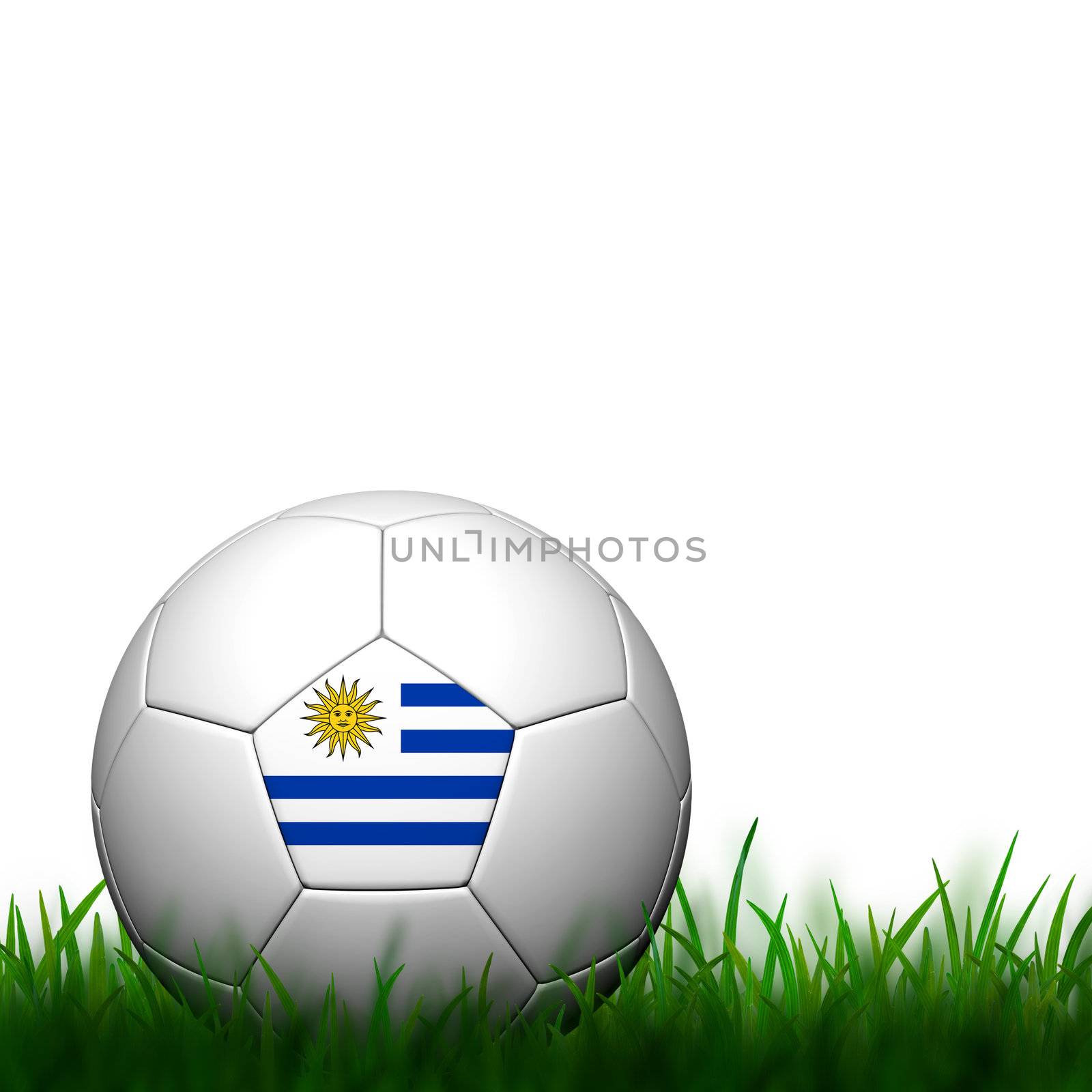 3D Football Uruguay Flag Patter in green grass on white background