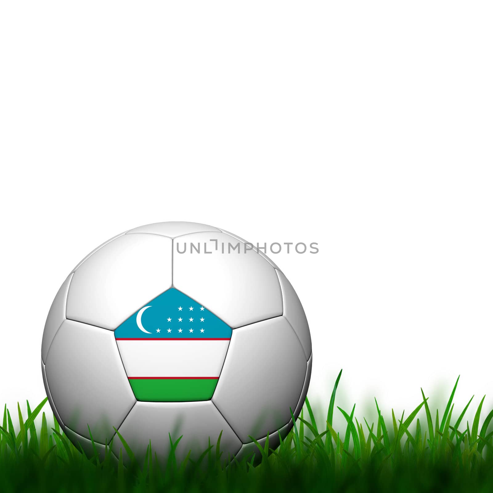 3D Football Uzbekistan  Flag Patter in green grass on white back by jakgree