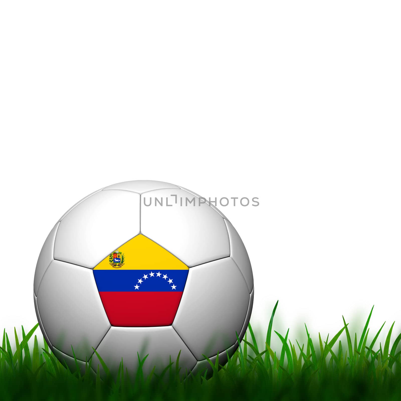 3D Football Venezuela Flag Patter in green grass on white backgr by jakgree