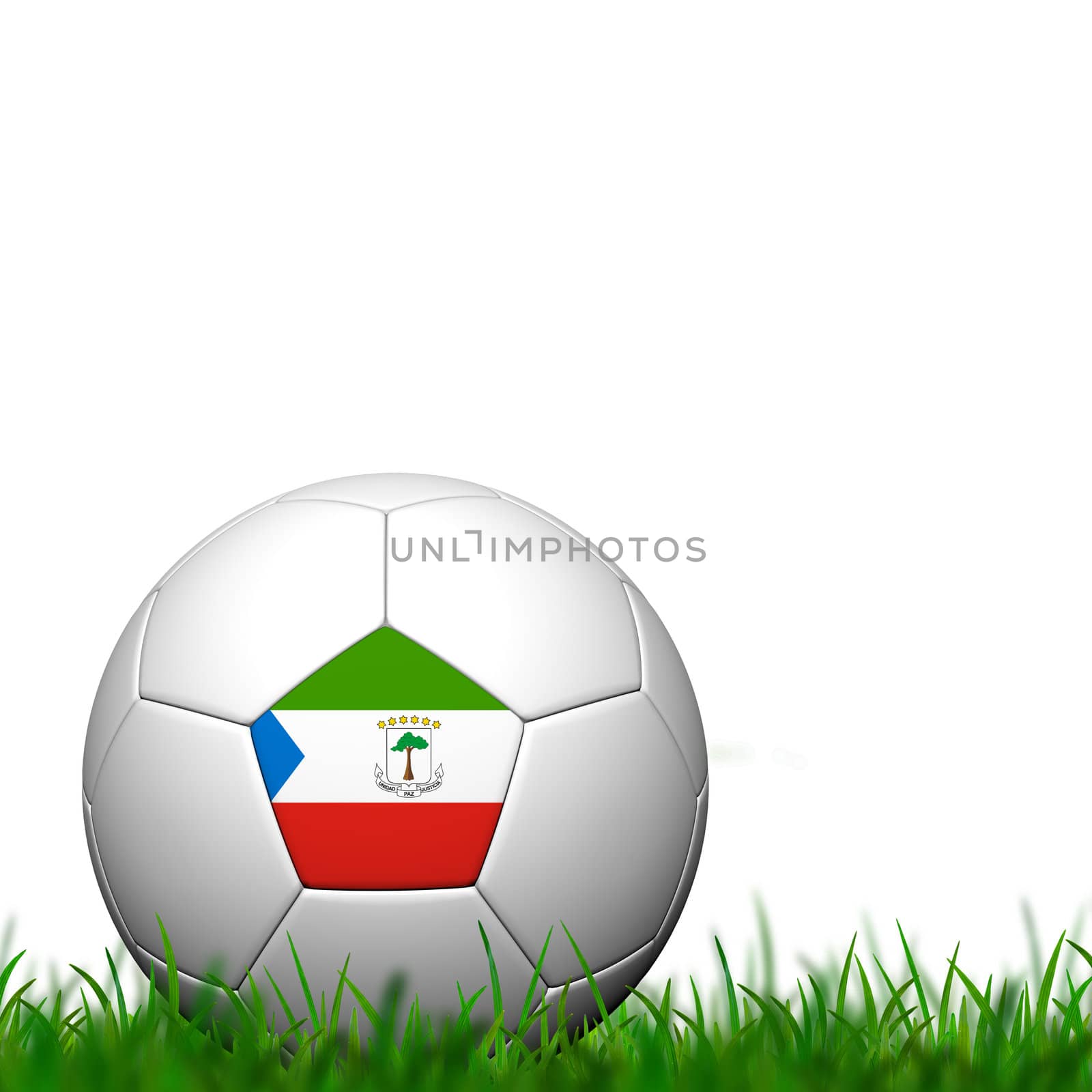 3D Soccer balll  Equatorial Guinea Flag Patter on green grass over white background