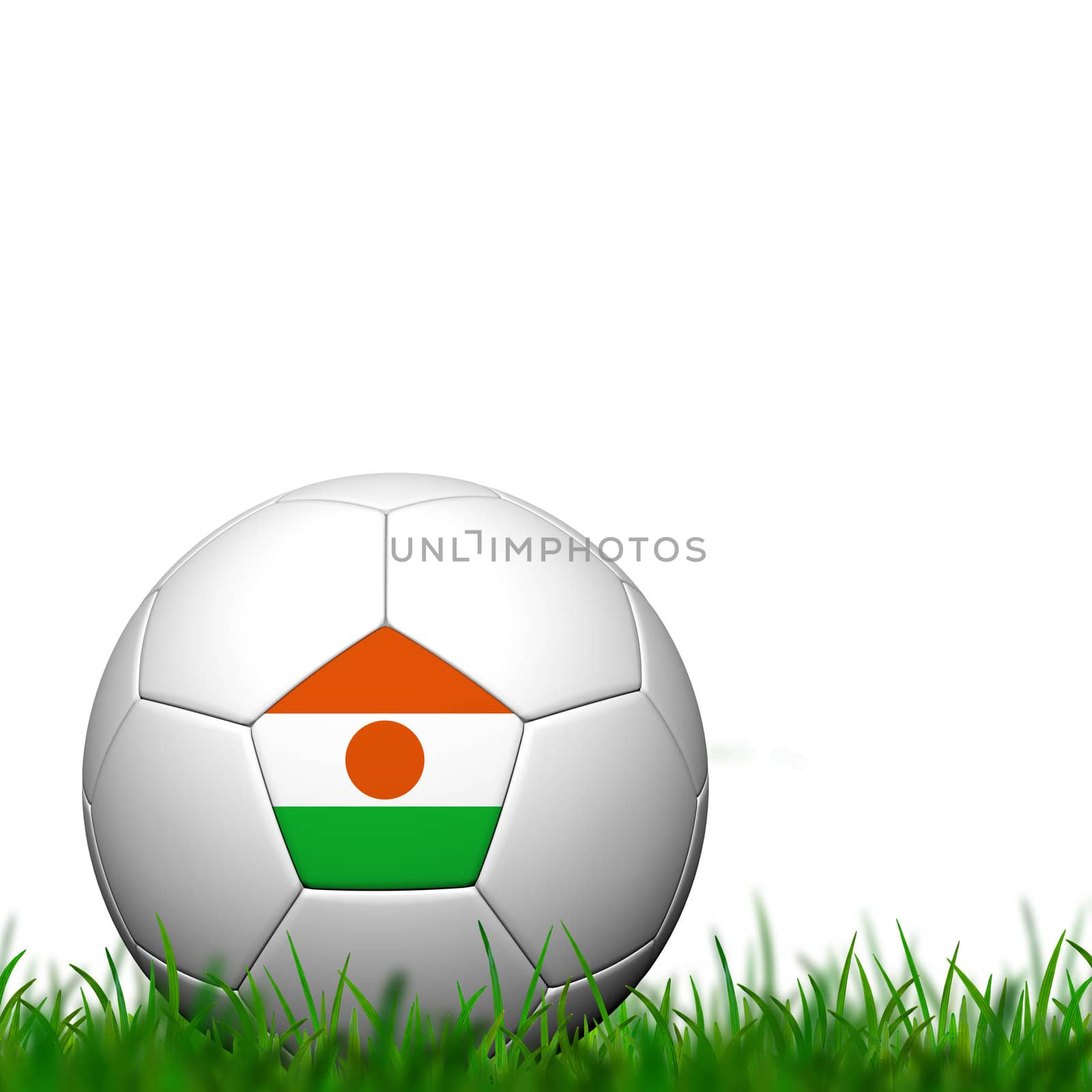 3D Soccer balll Niger Flag Patter on green grass over white background
