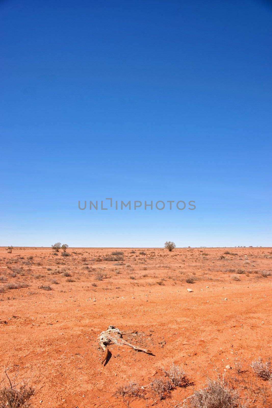 australian red desert outback is dry and barren