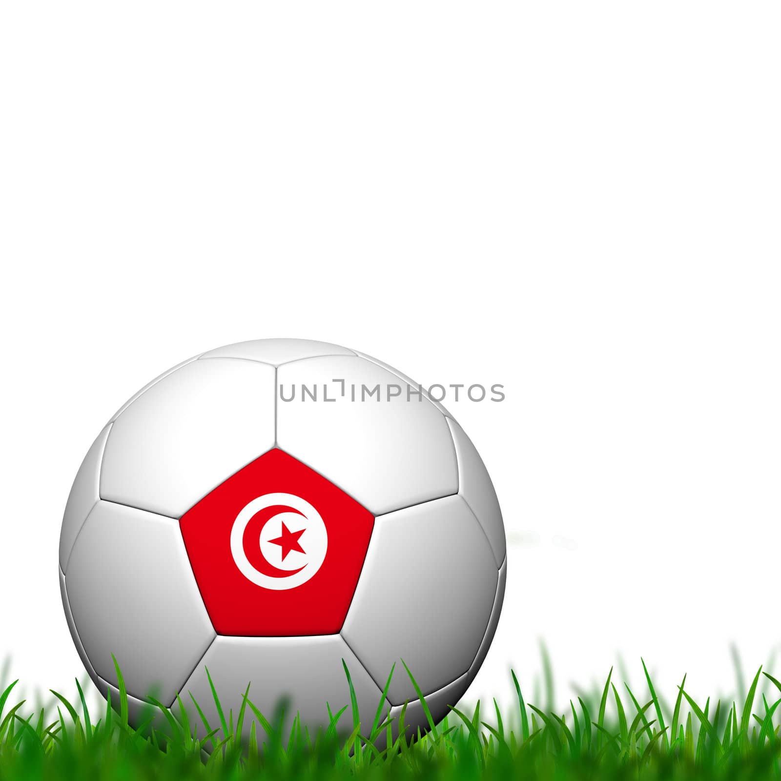 3D Soccer balll Tunisia Flag Patter on green grass over white ba by jakgree