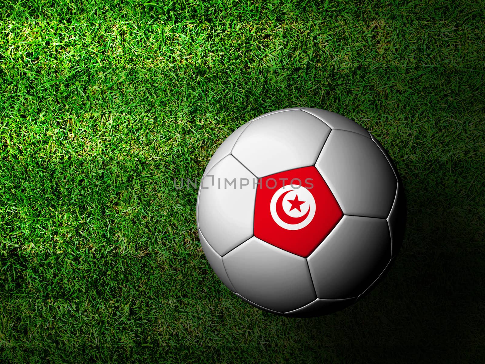 Tunisia Flag Pattern 3d rendering of a soccer ball in green grass