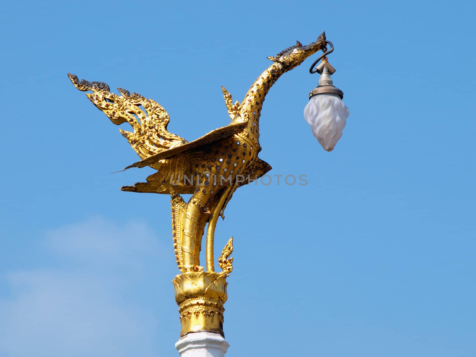 Golden swan lamp on electricity