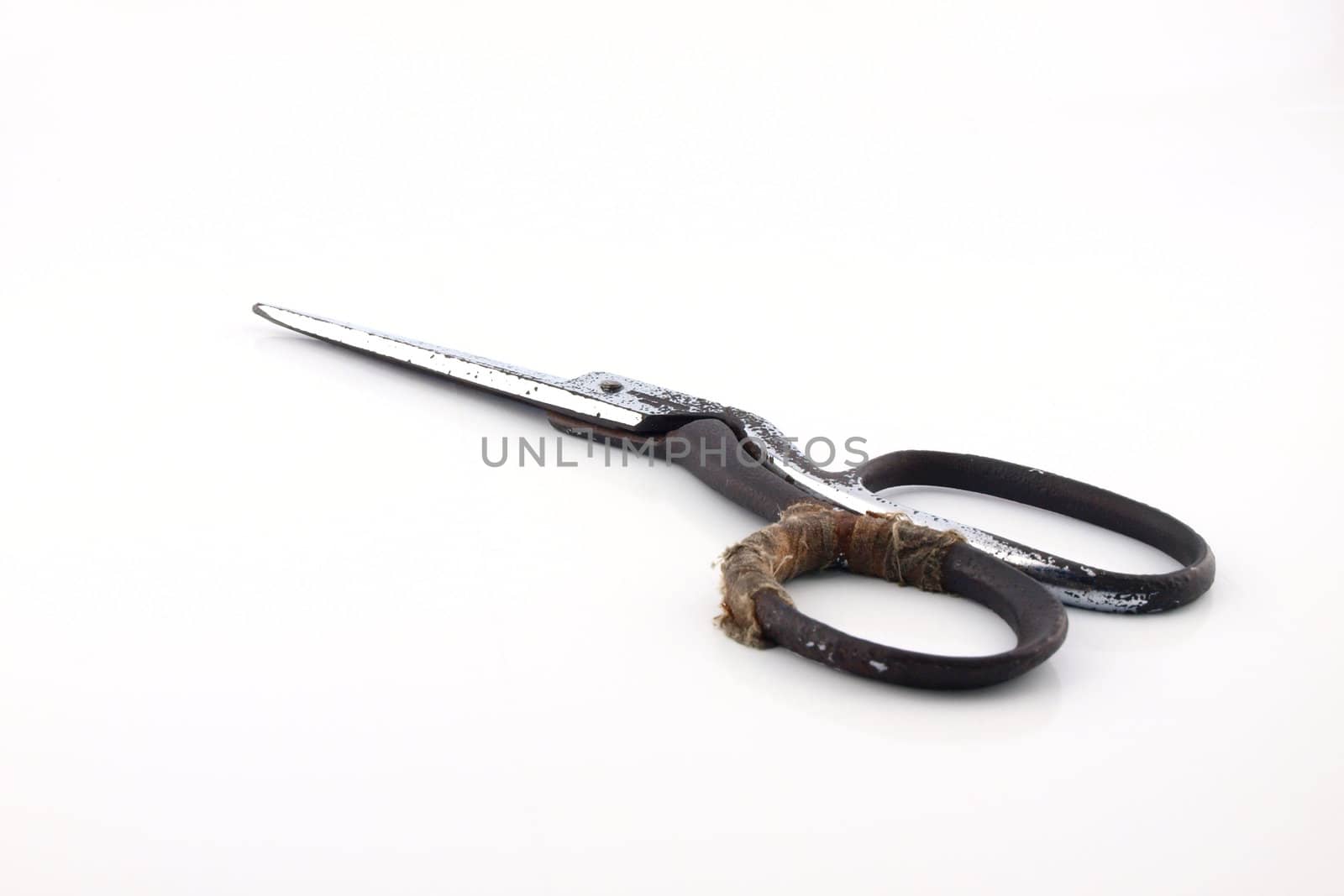 Old scissors on isolated white background.    by jakgree