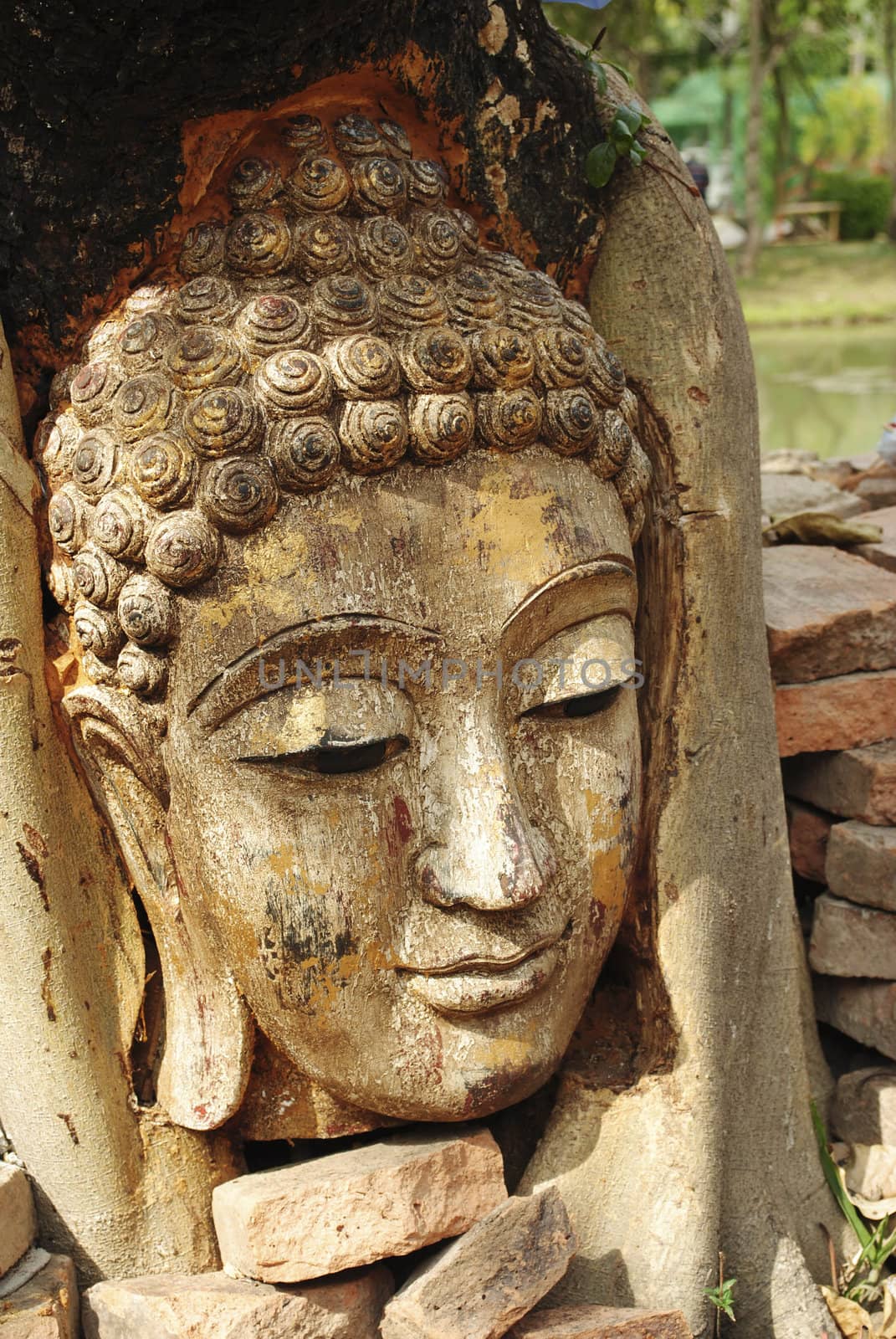 Ancient Buddhism head in root of banyan tree in Thailand