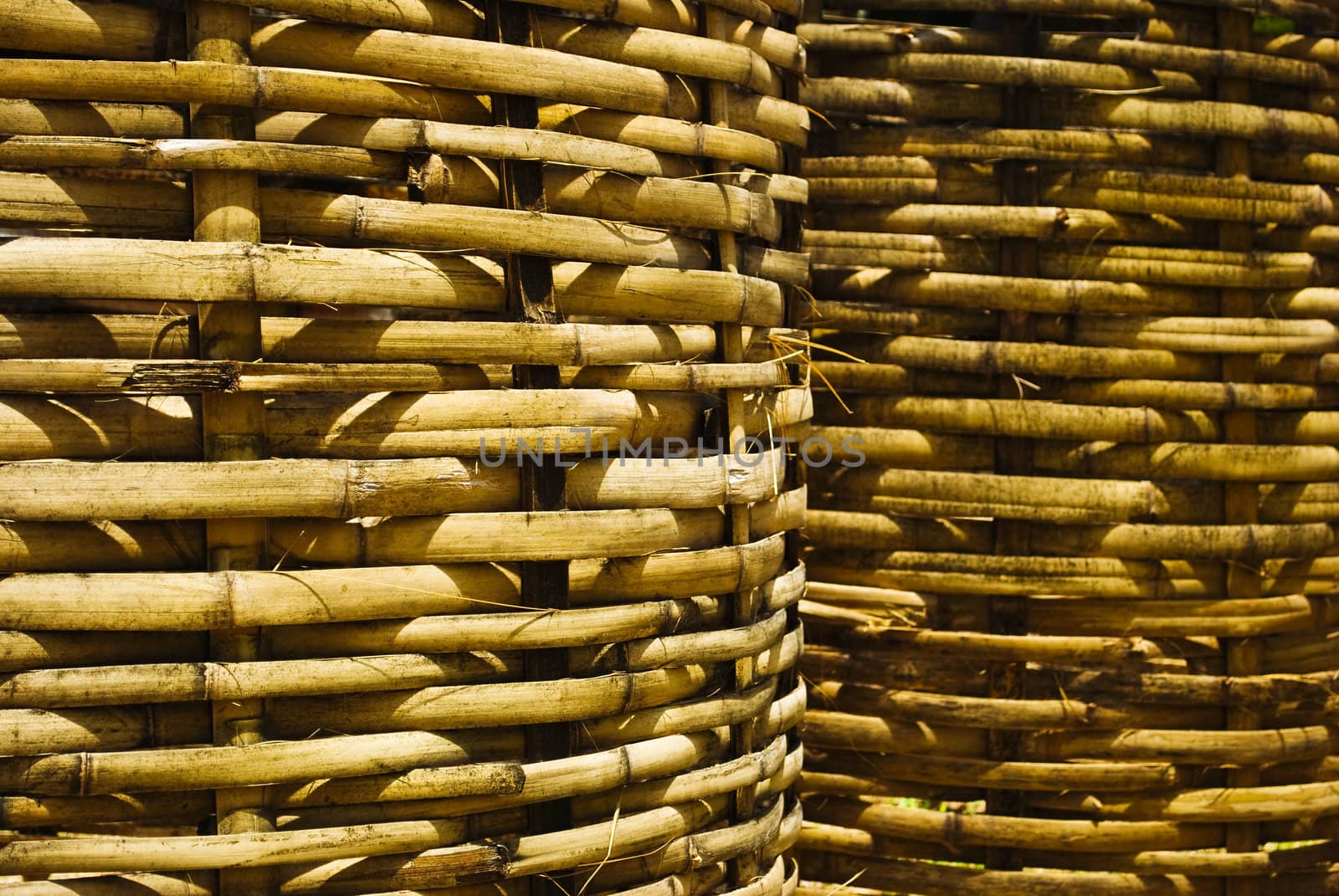 bamboo texture