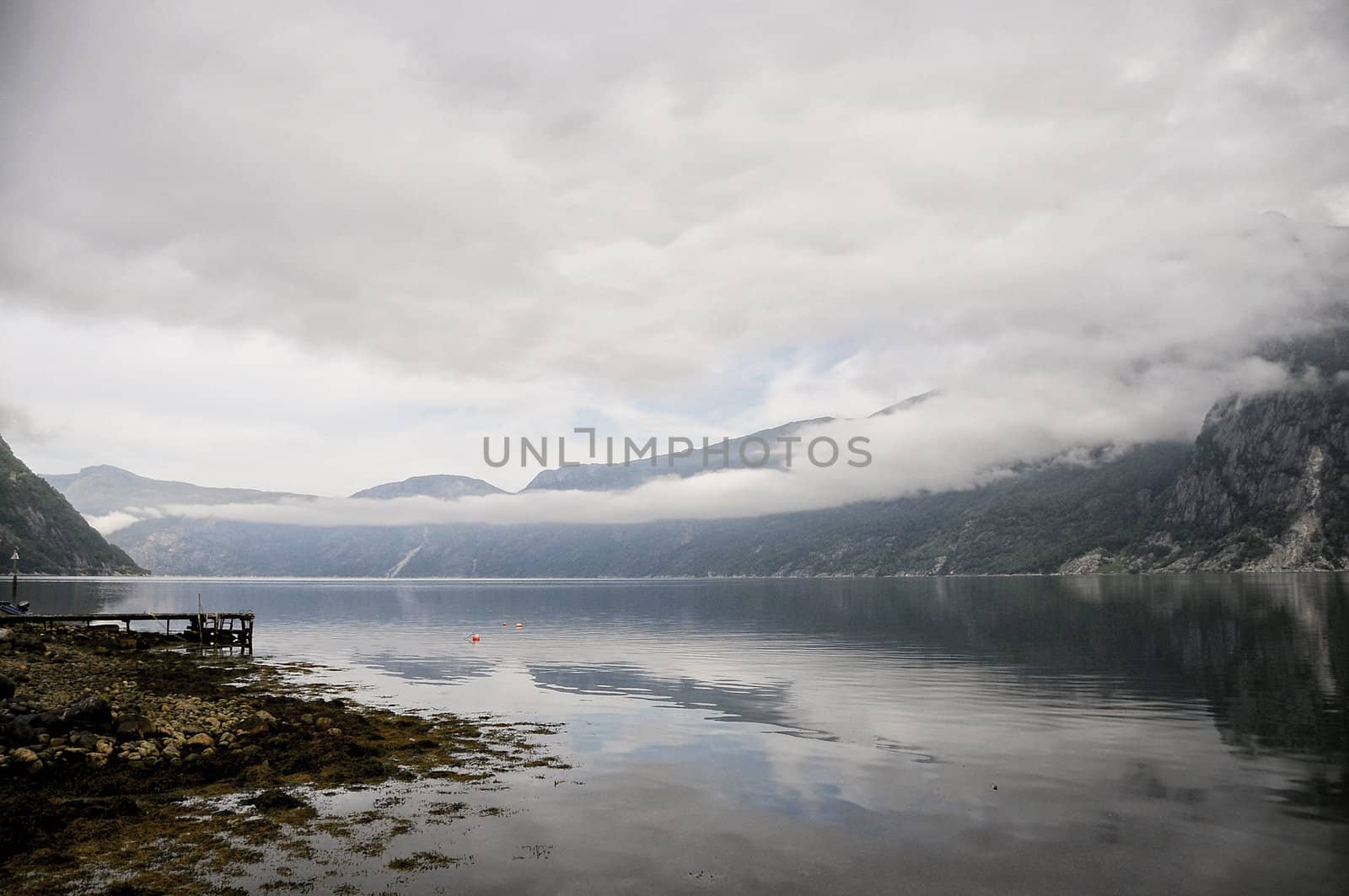 fog above the lake  of the quiet Norwegian bay
