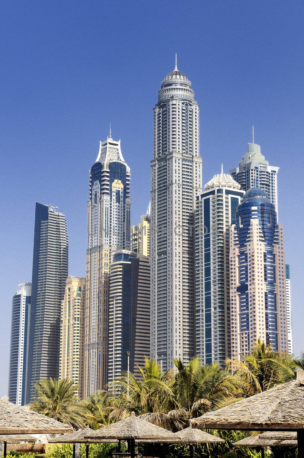 Dubai Marina, United Arab Emriates, Dubai city