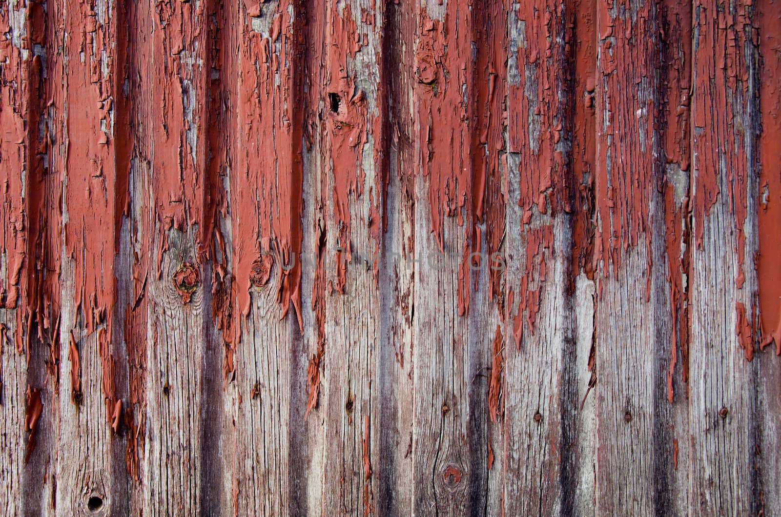 rural house wall peel paint background closeup by sauletas