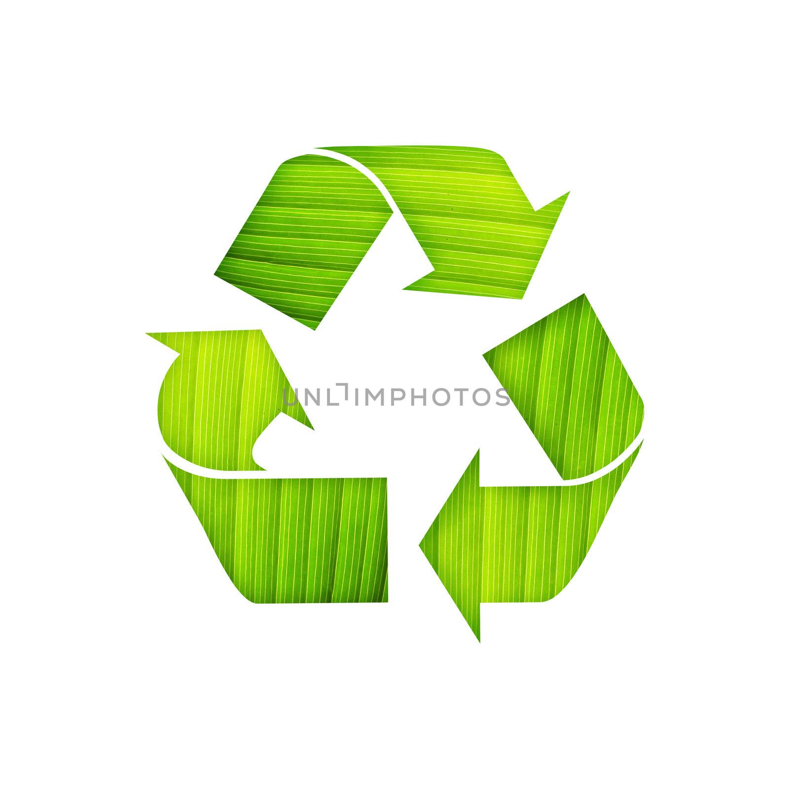 recycle symbol with leaf detail on isolated background by jakgree