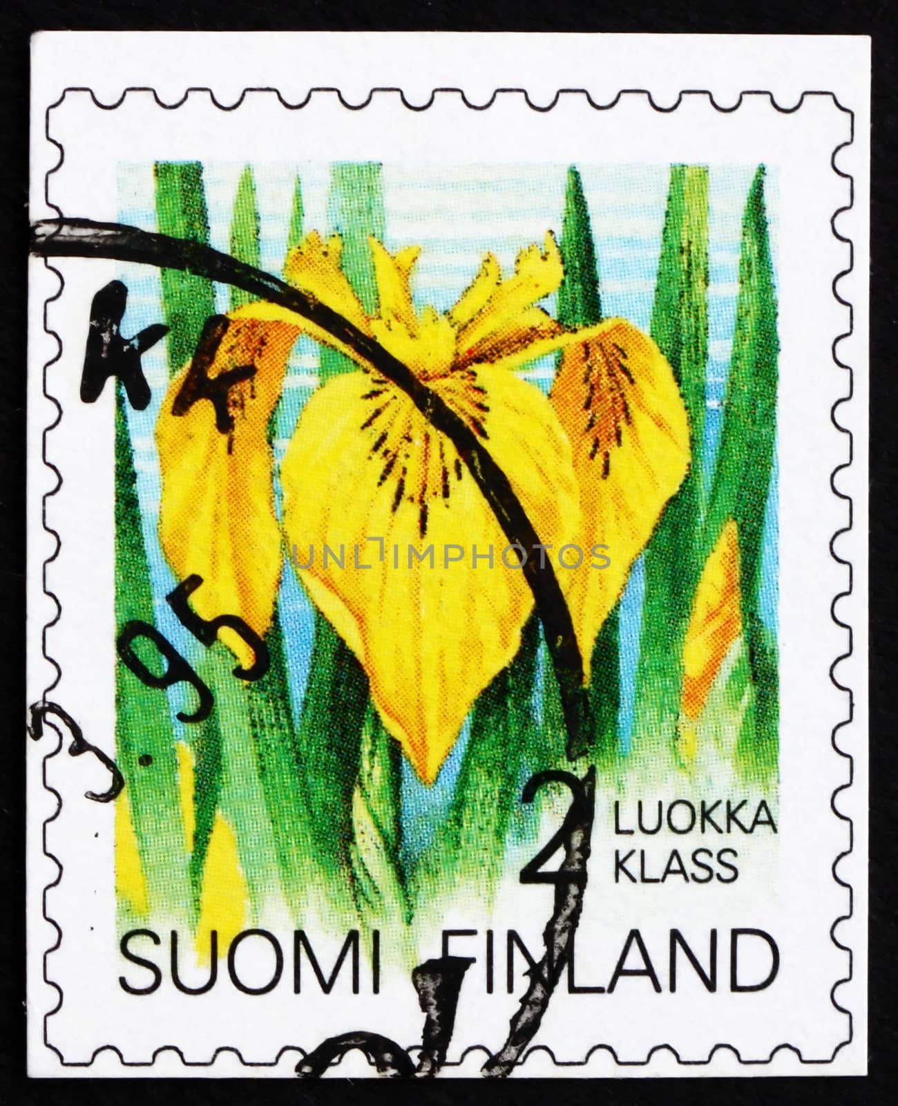 FINLAND - CIRCA 1993: a stamp printed in the Finland shows Iris, Flower, circa 1993