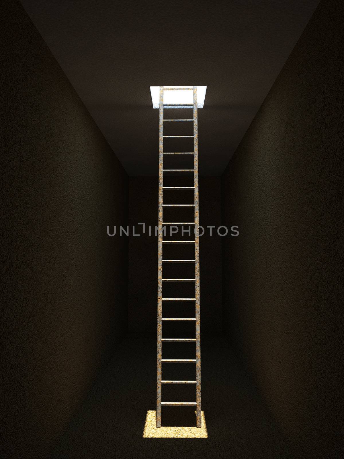 Exit outside on an old long ladder