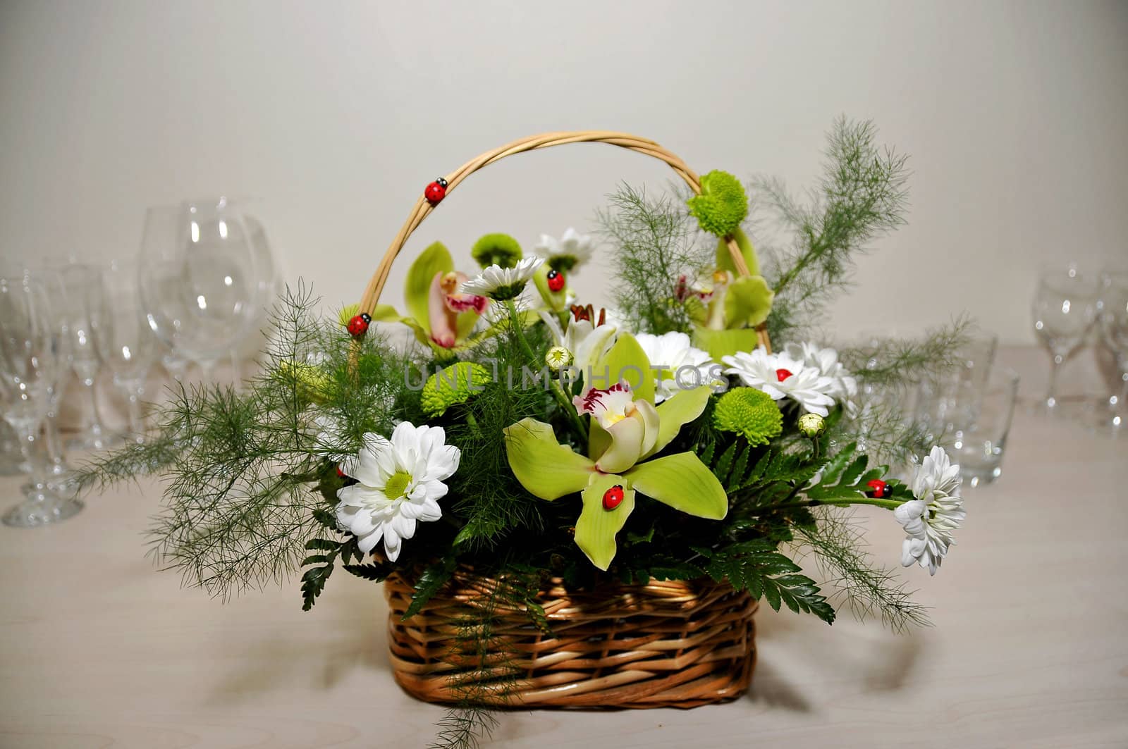 Orchid and white marguerites flowers