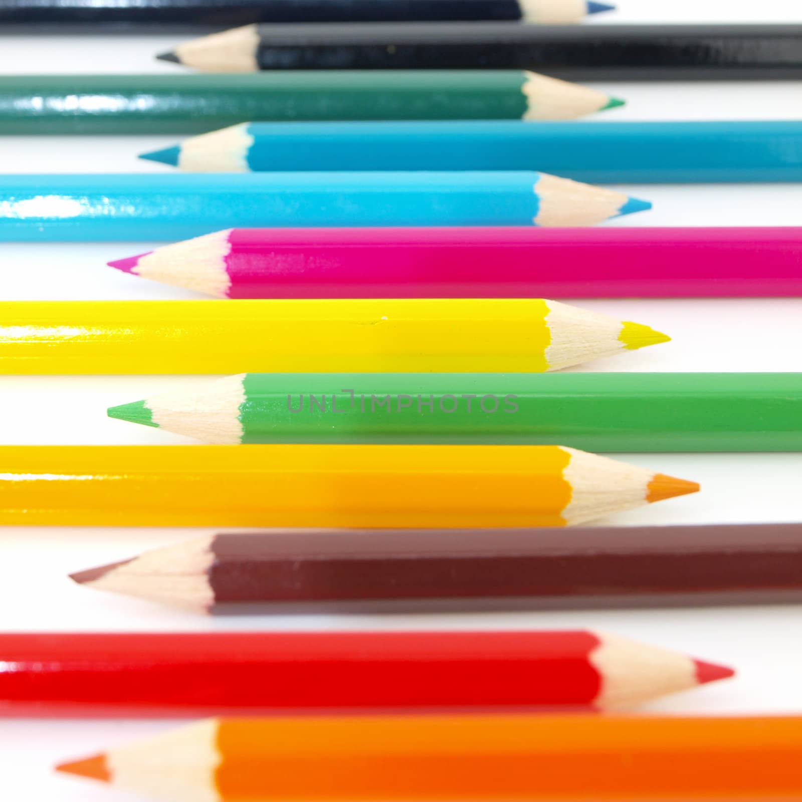 Row of colors pencil on white background