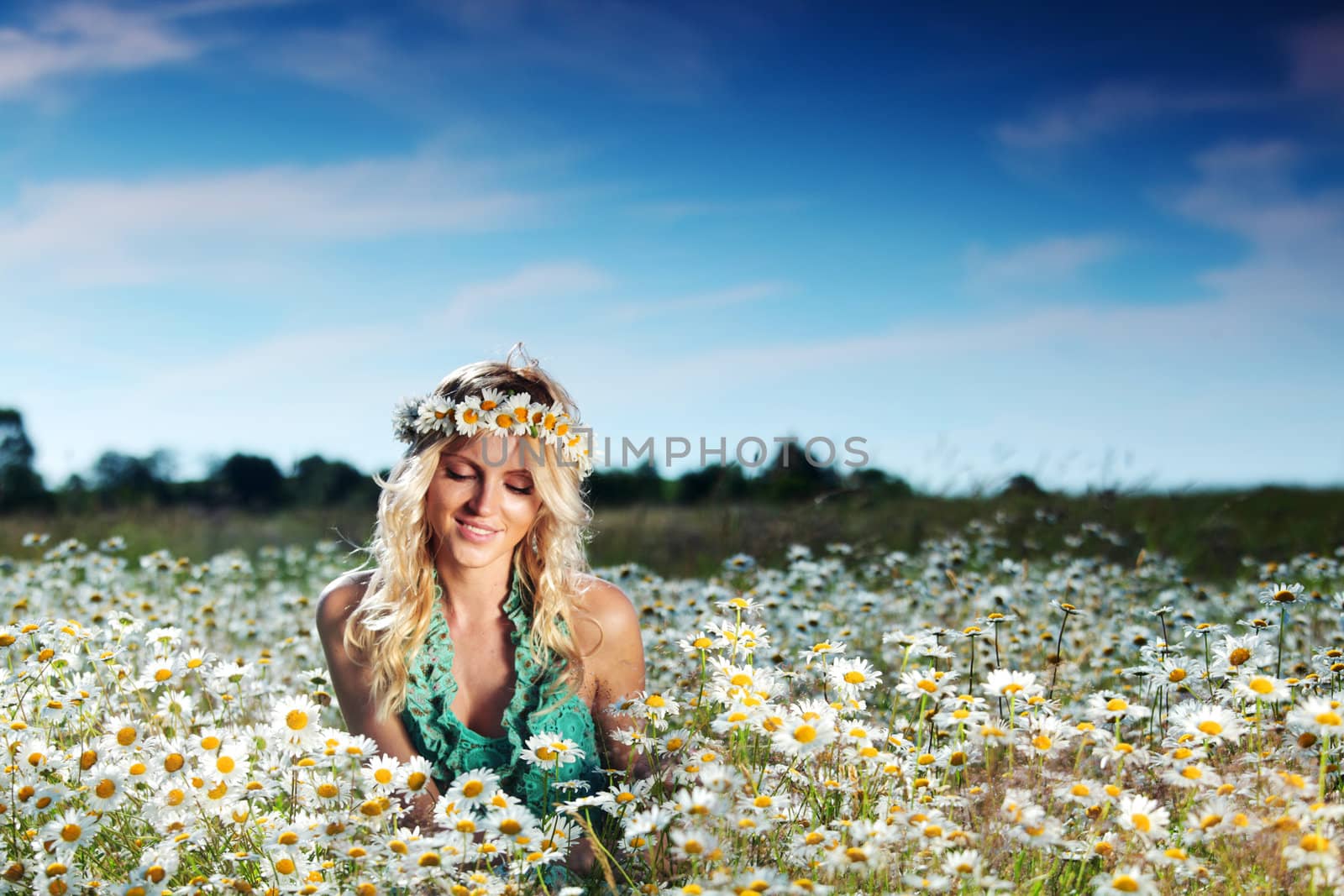 beautiful girl on the daisy flowers field 