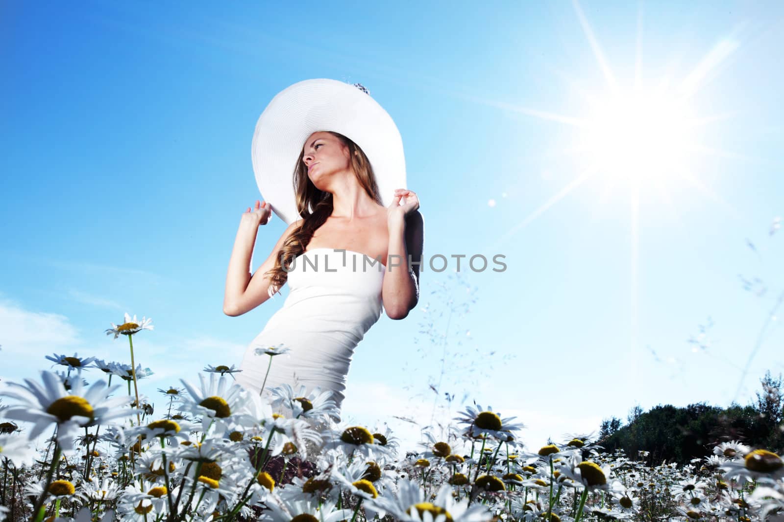 beautiful girl  in dress on the daisy flowers field 