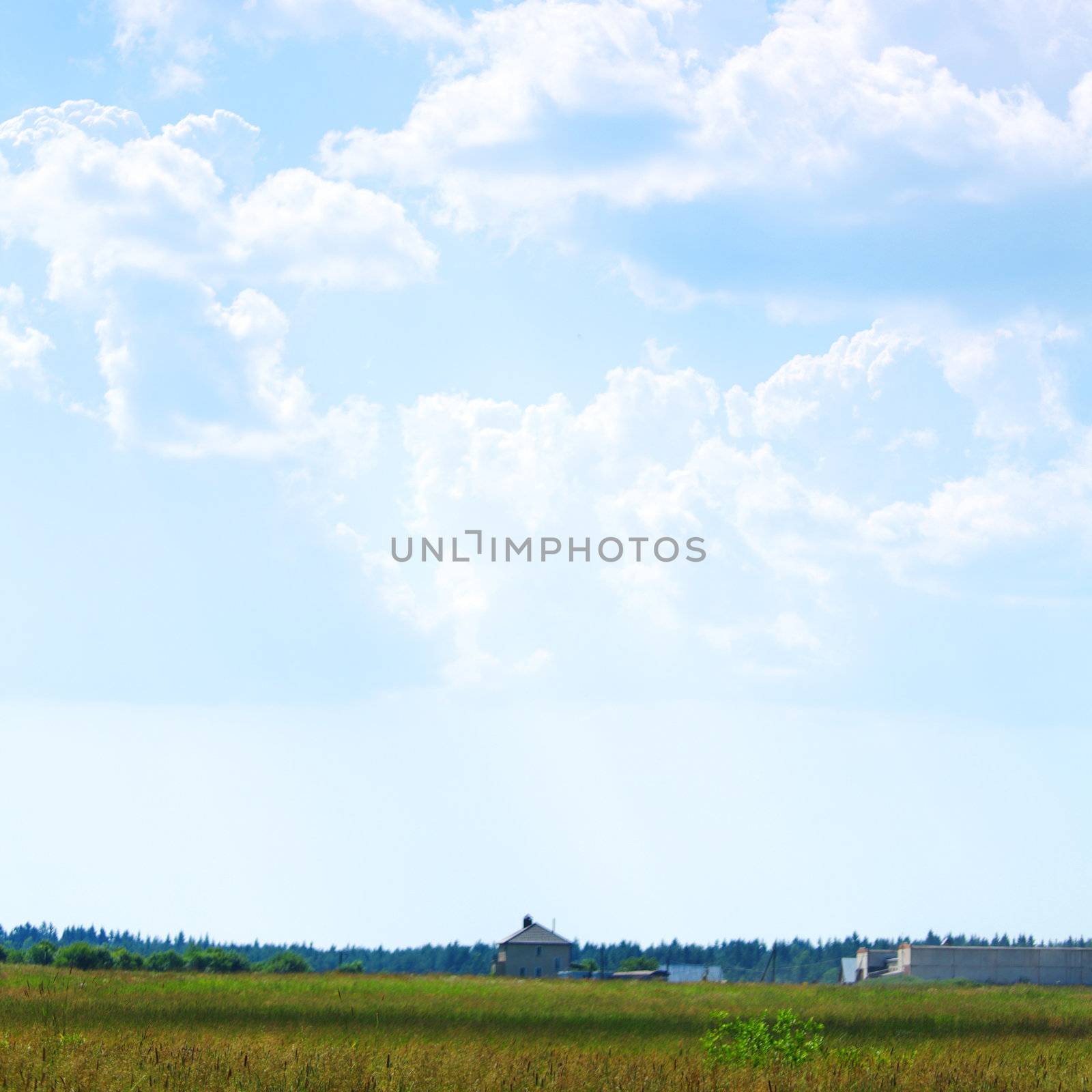  green field under blue sky