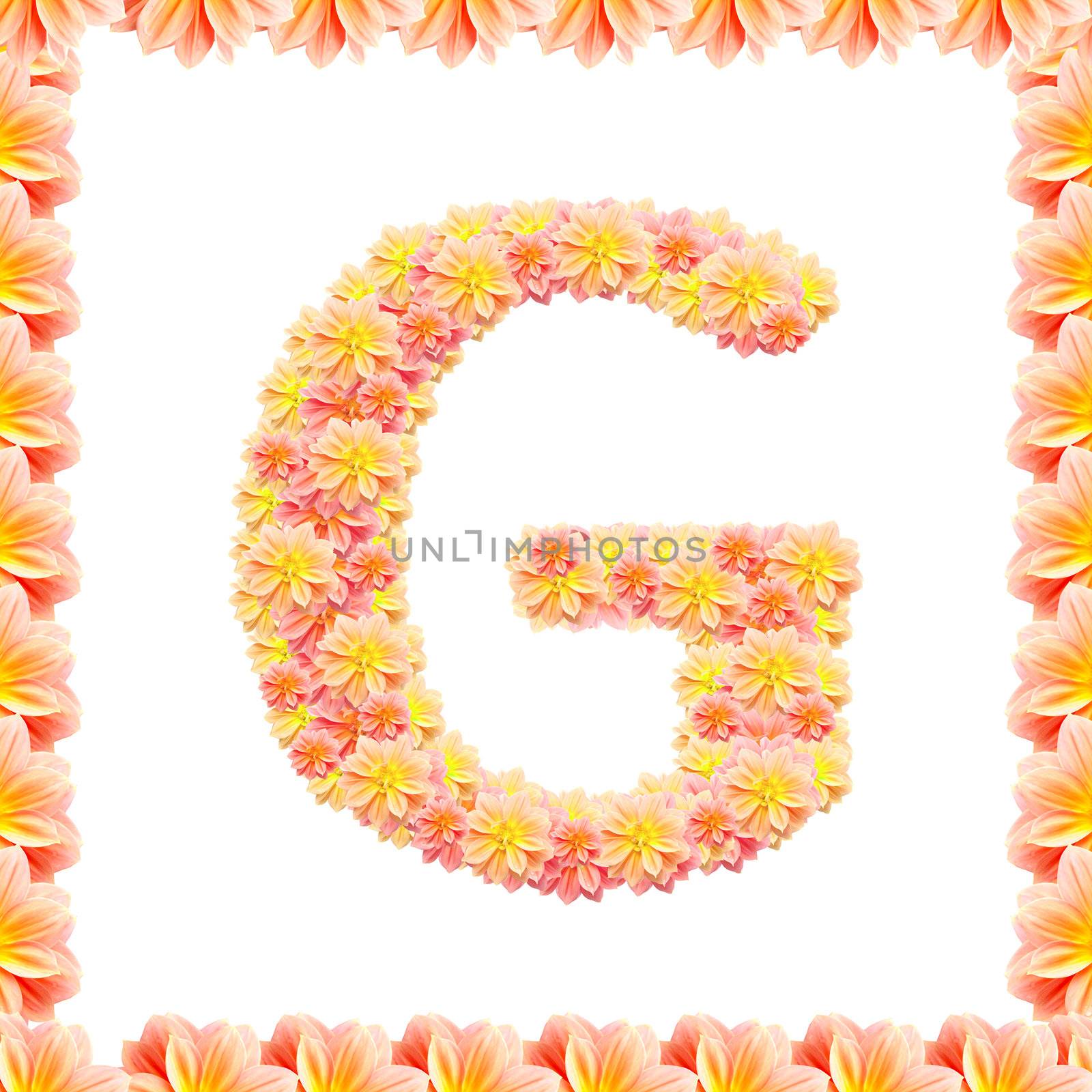 g,flower alphabet isolated on white with flame