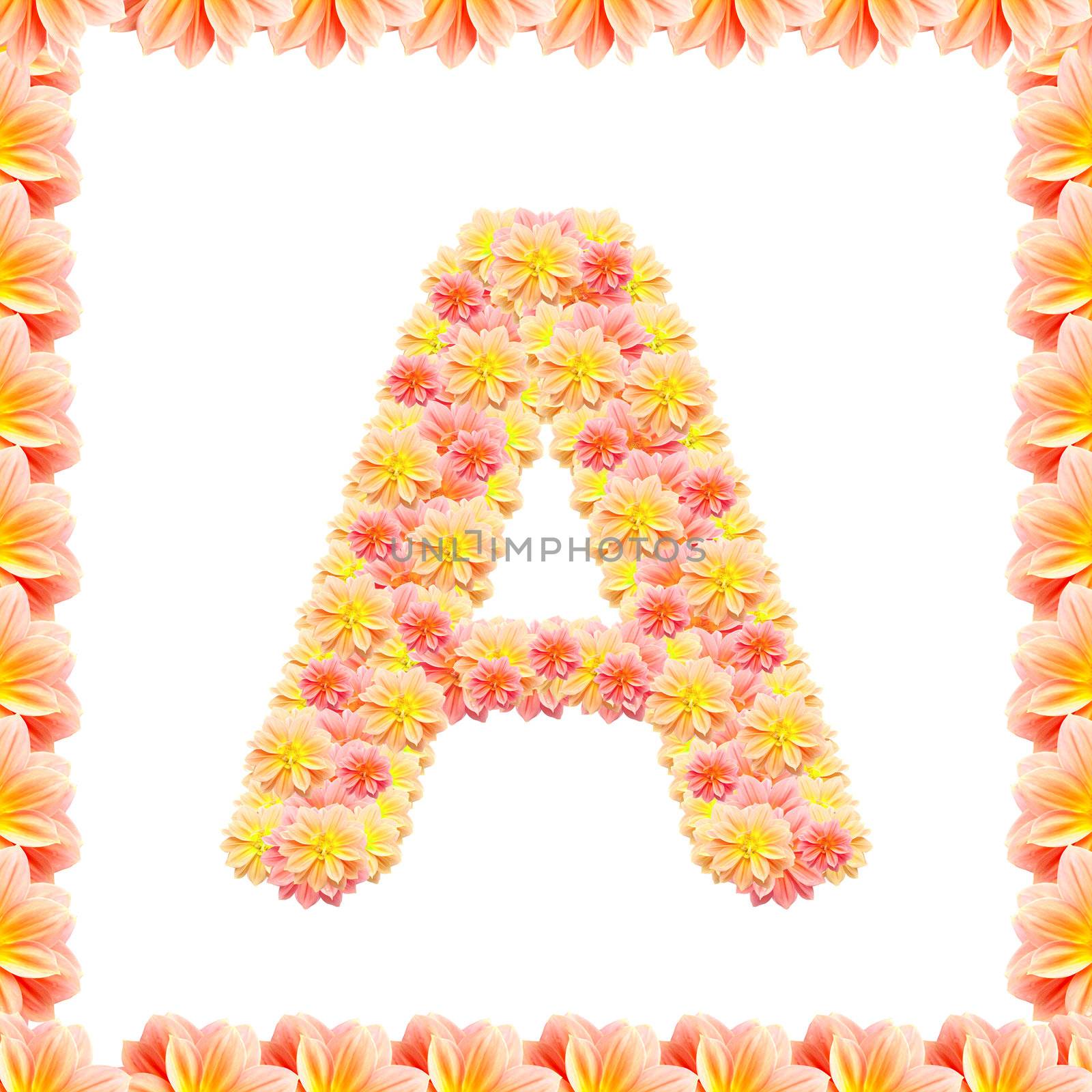 A,flower alphabet isolated on white with flame
