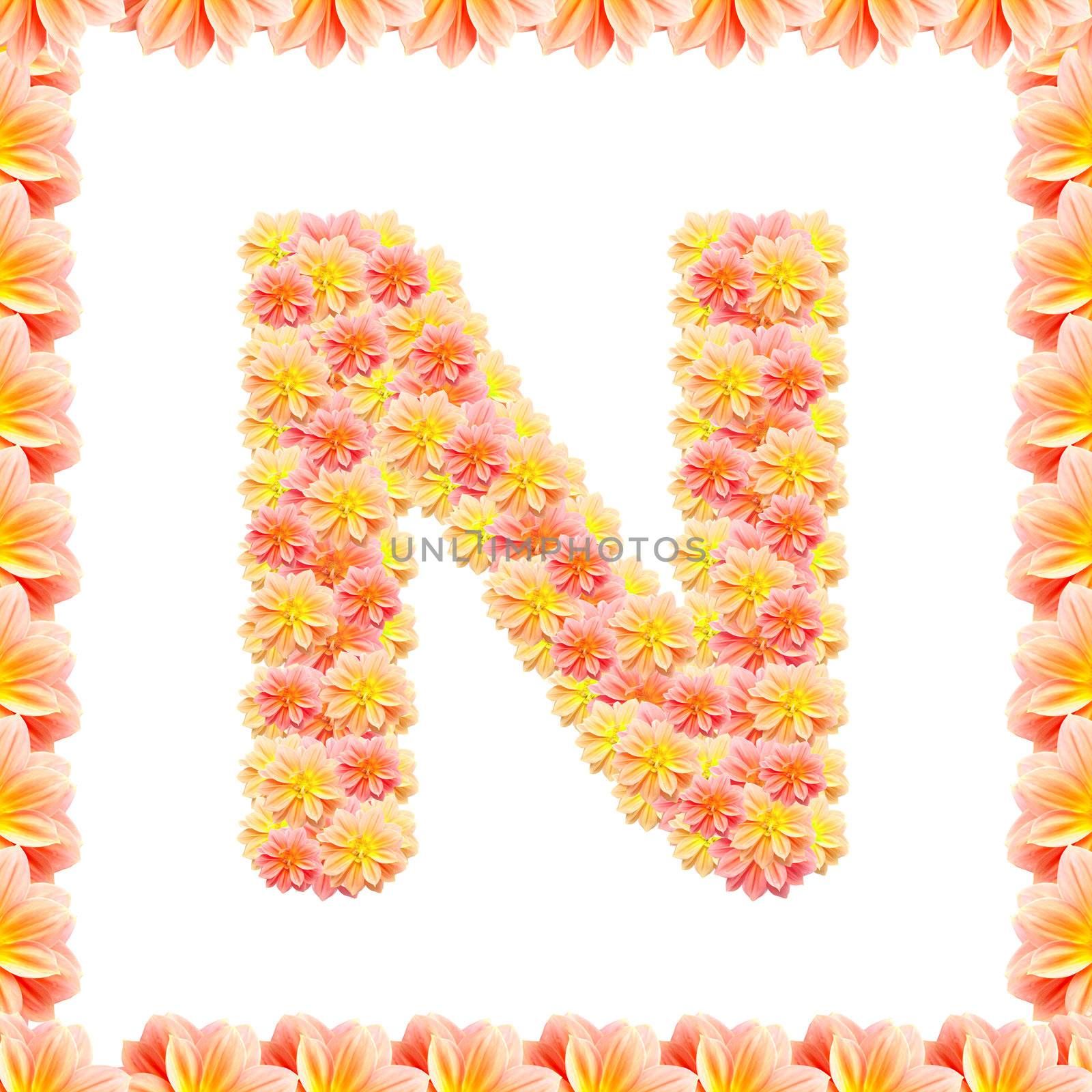 N,flower alphabet isolated on white with flame by jakgree