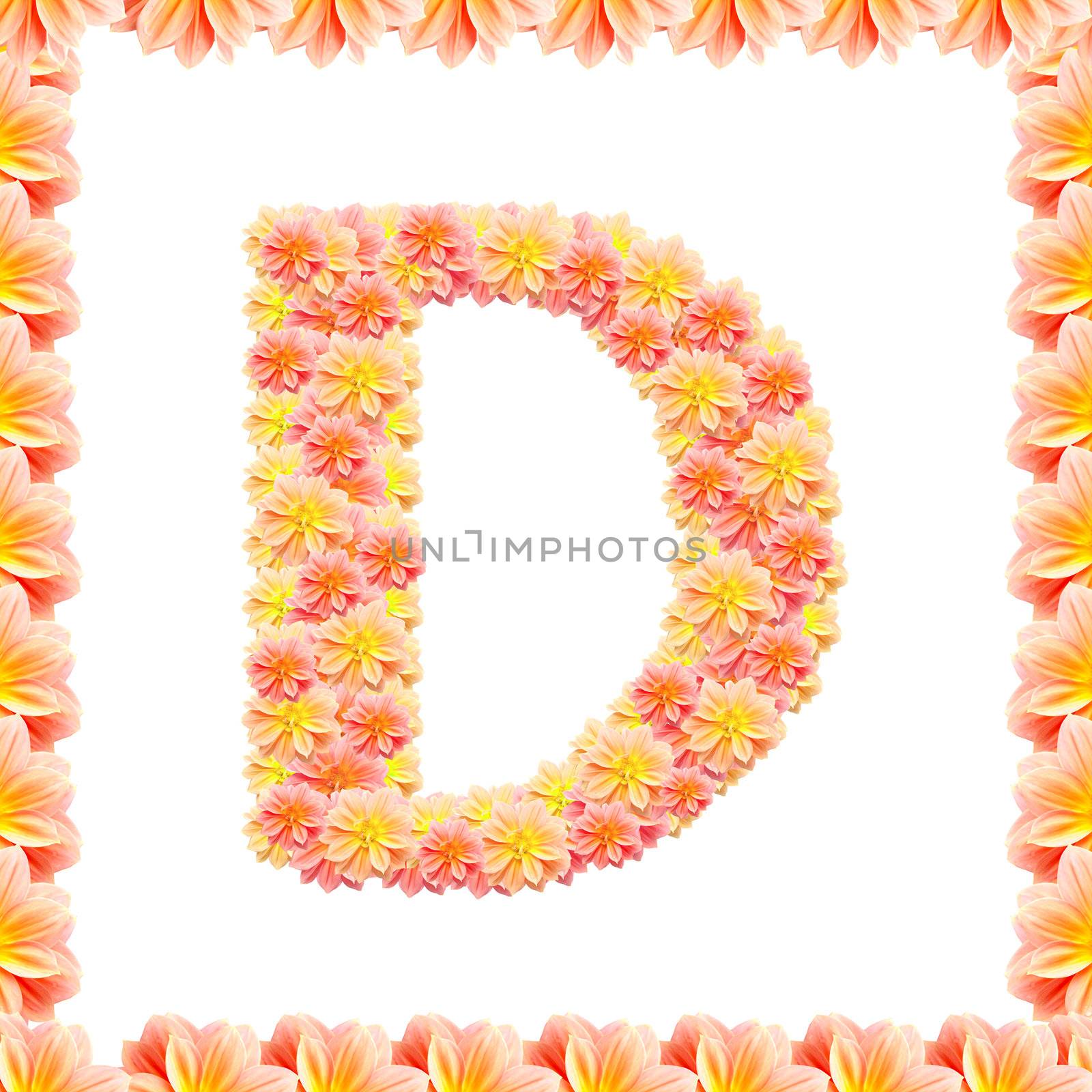 d,flower alphabet isolated on white with flame by jakgree