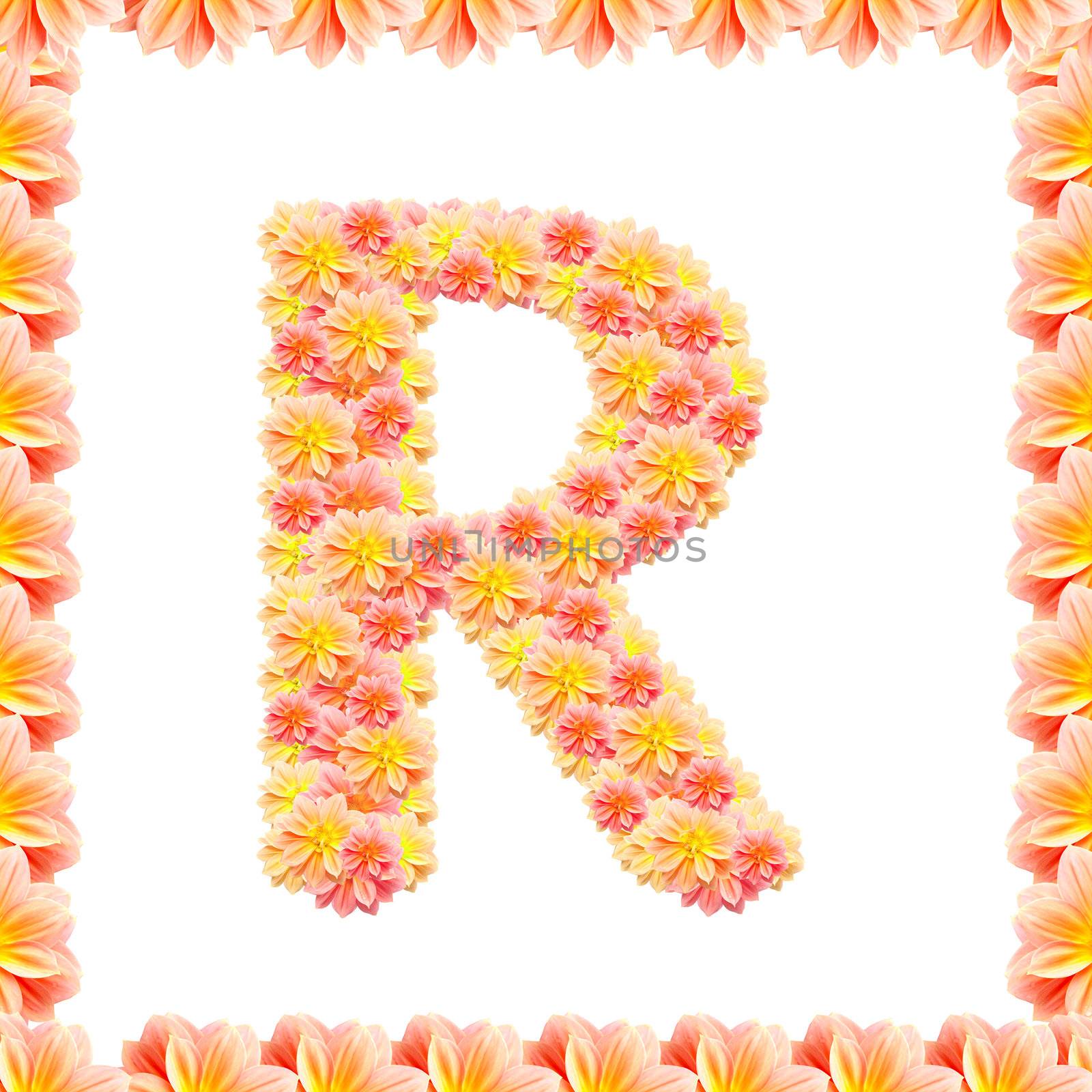R,flower alphabet isolated on white with flame by jakgree