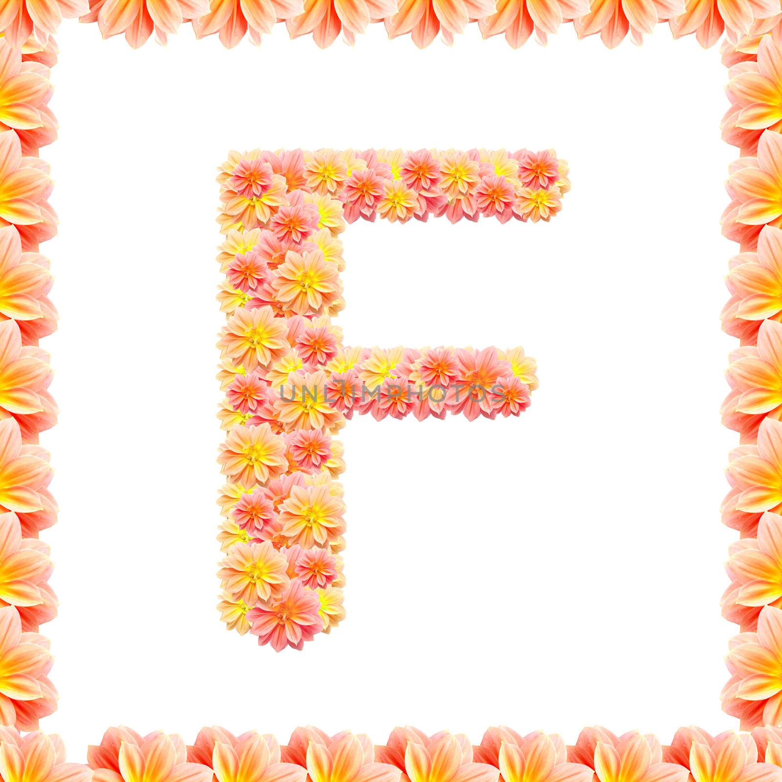 F,flower alphabet isolated on white with flame by jakgree