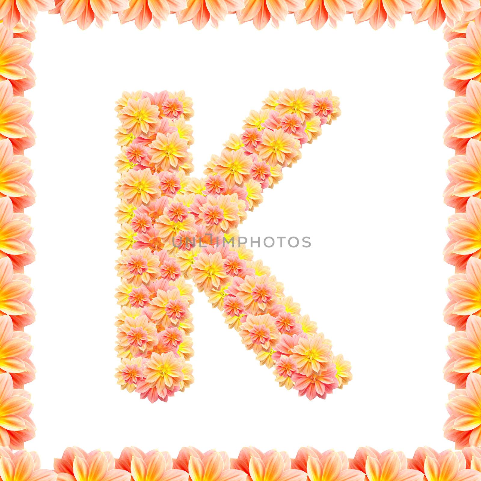 K,flower alphabet isolated on white with flame by jakgree