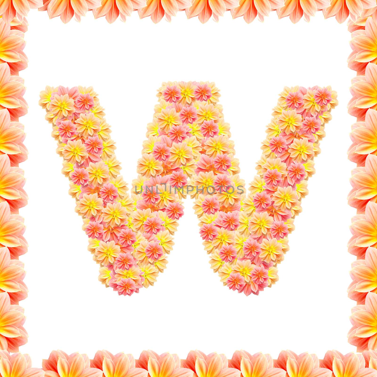 W,flower alphabet isolated on white with flame by jakgree