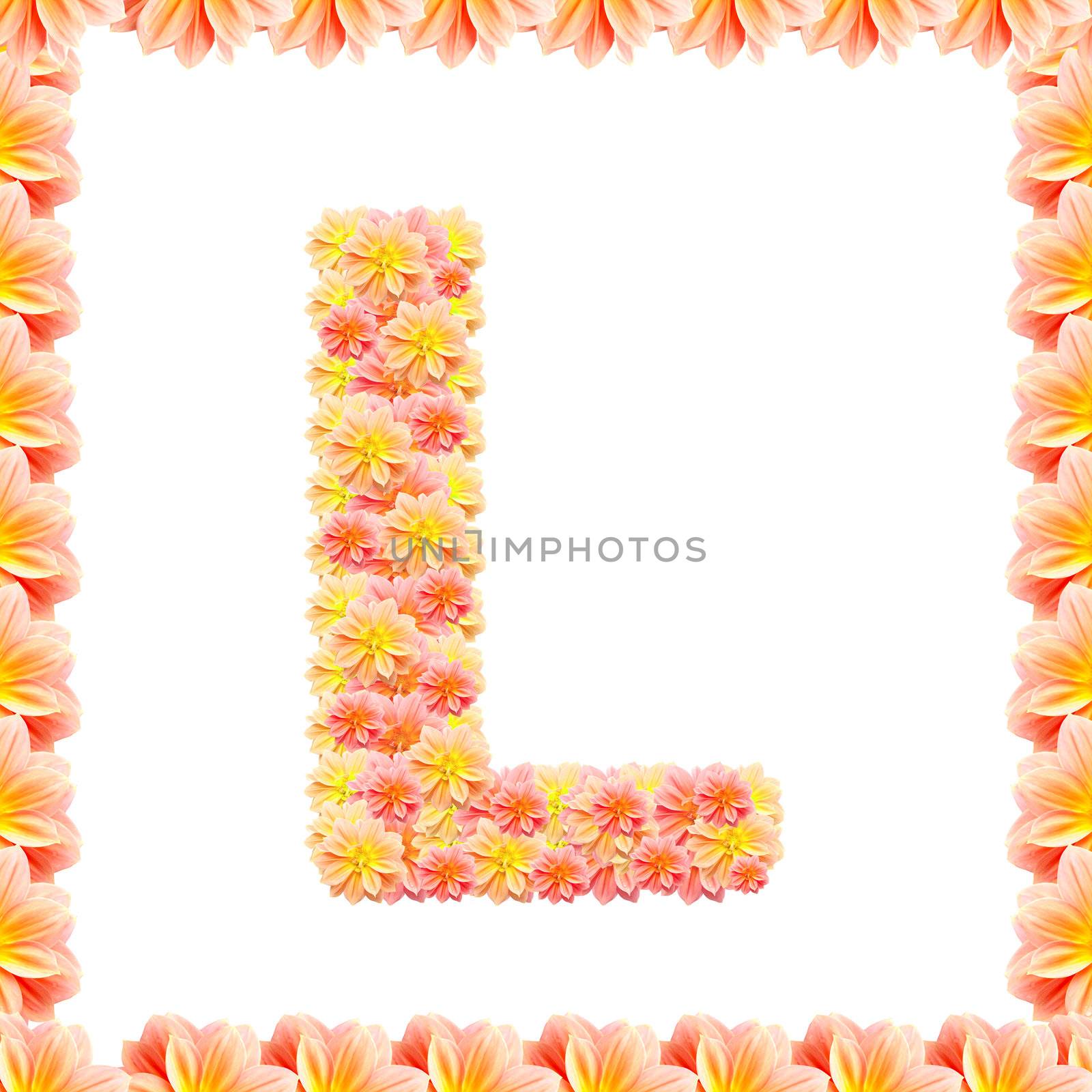 L,flower alphabet isolated on white with flame