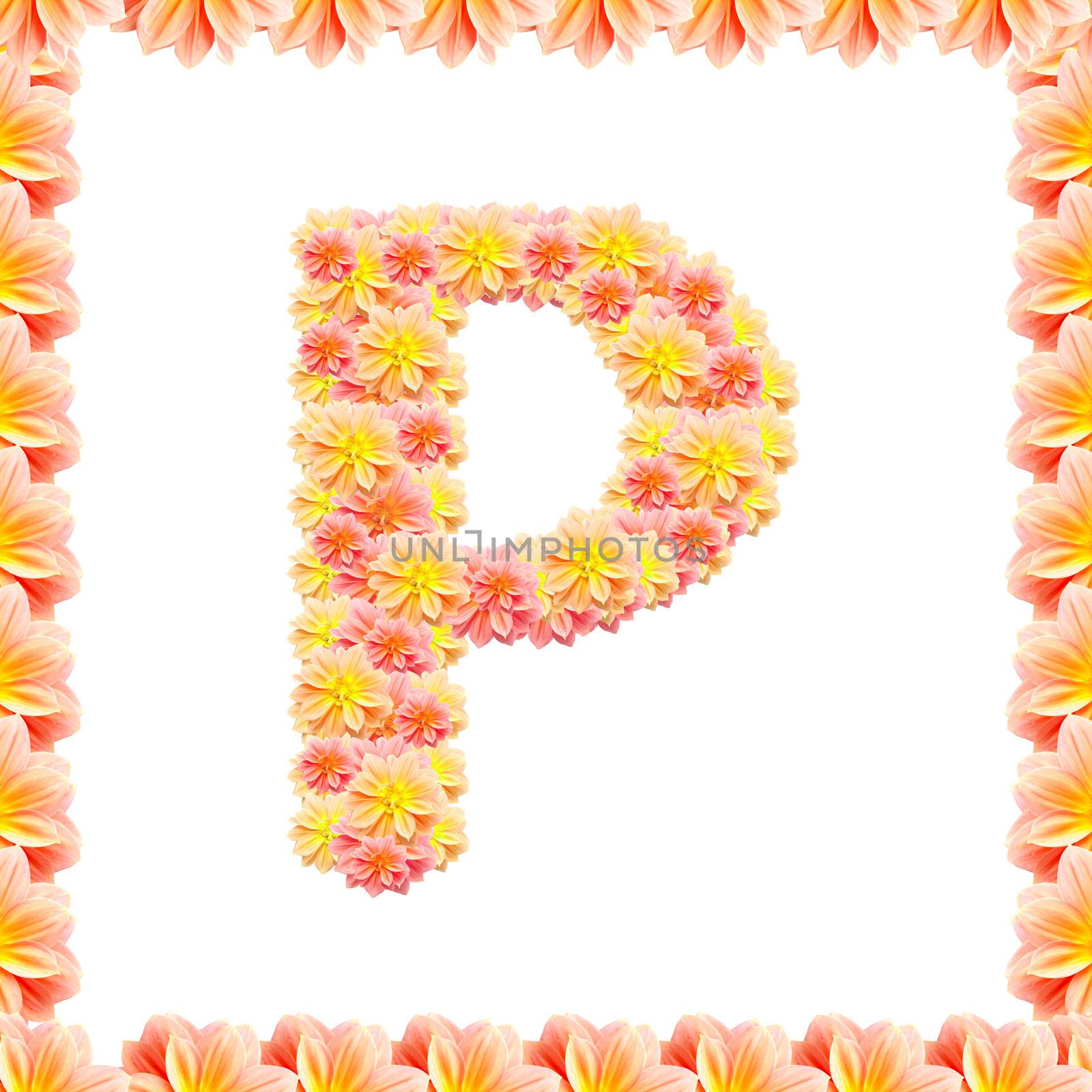 P,flower alphabet isolated on white with flame