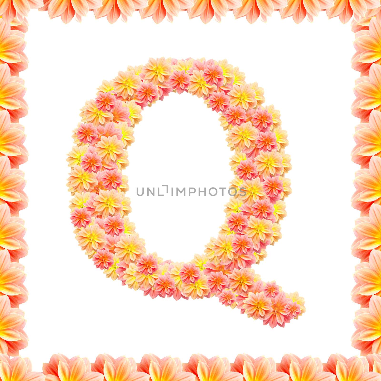 Q,flower alphabet isolated on white with flame