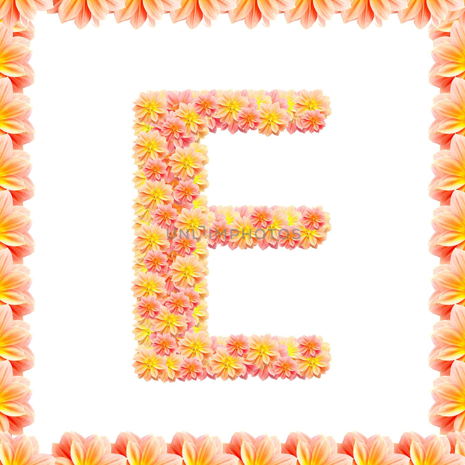 E,flower alphabet isolated on white with flame by jakgree