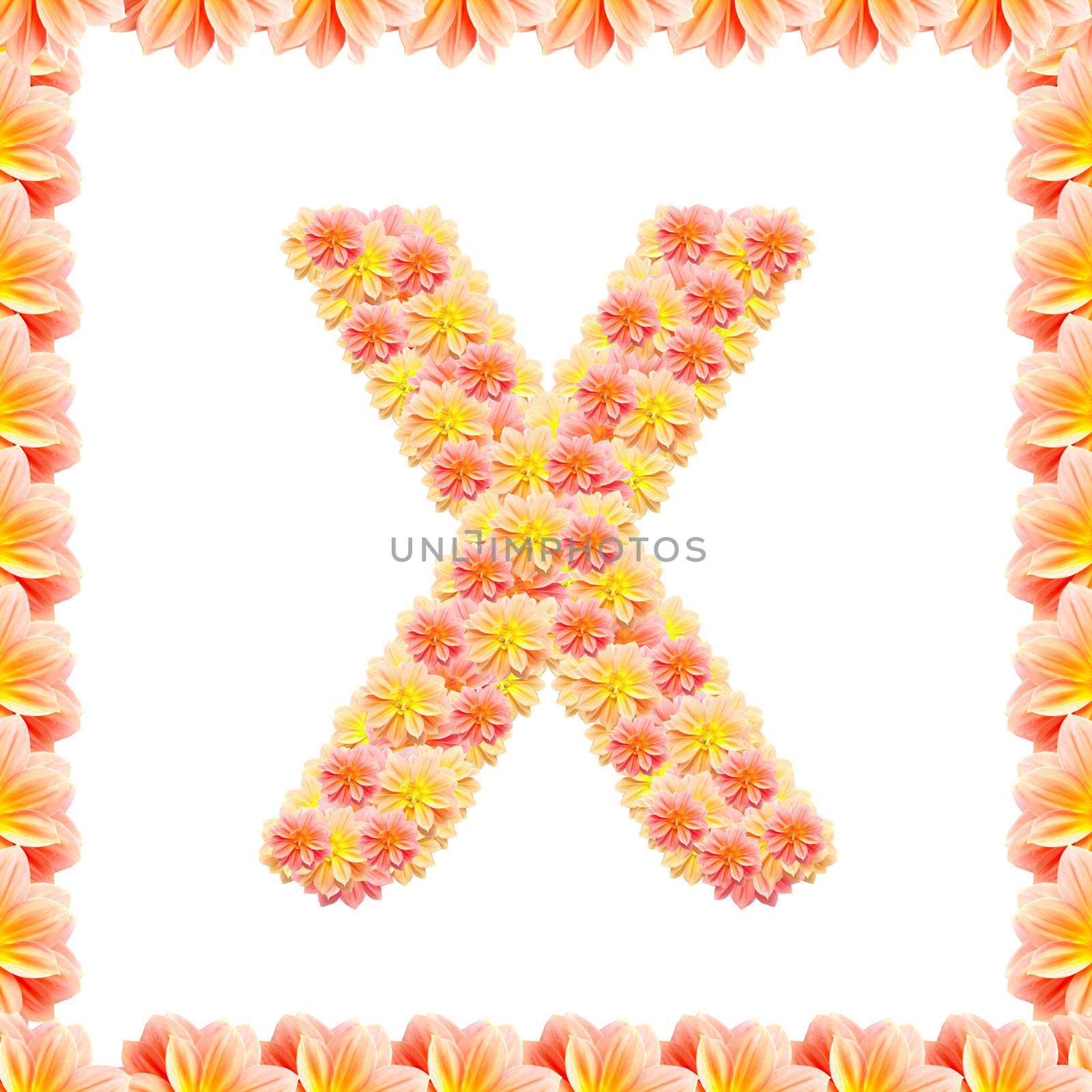 X,flower alphabet isolated on white with flame
