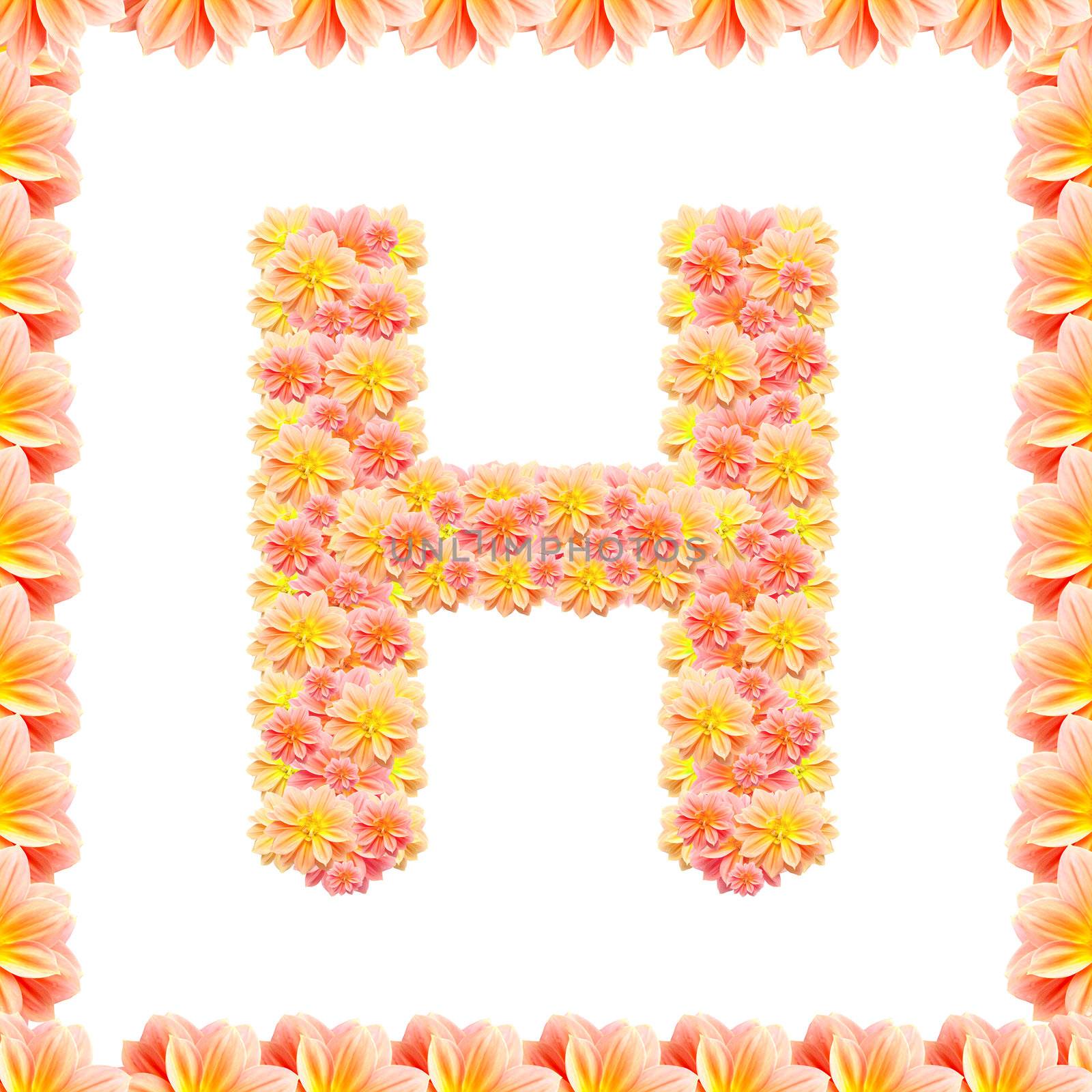 h,flower alphabet isolated on white with flame