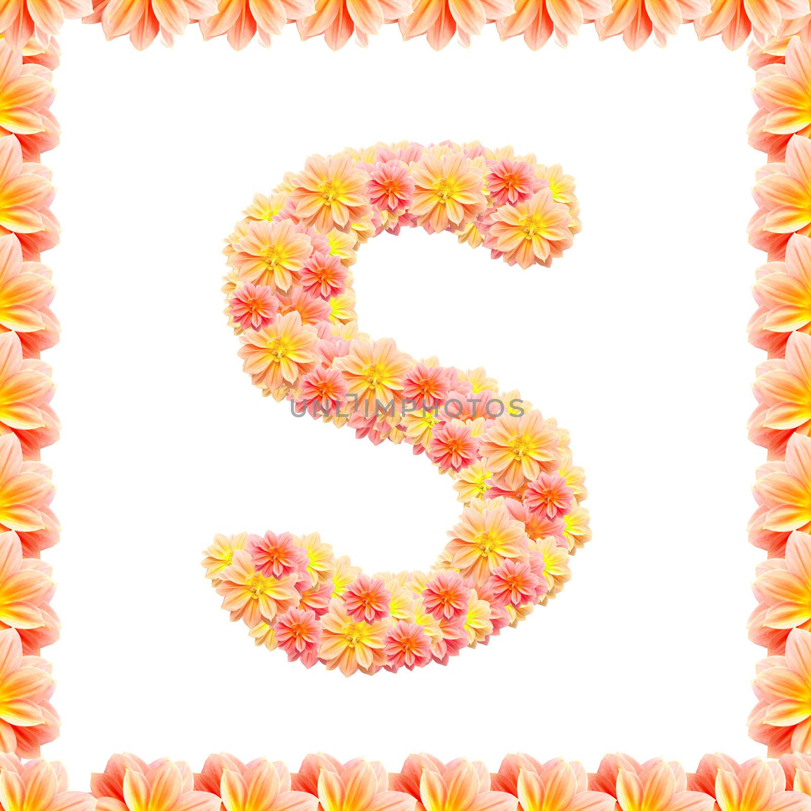 S,flower alphabet isolated on white with flame by jakgree