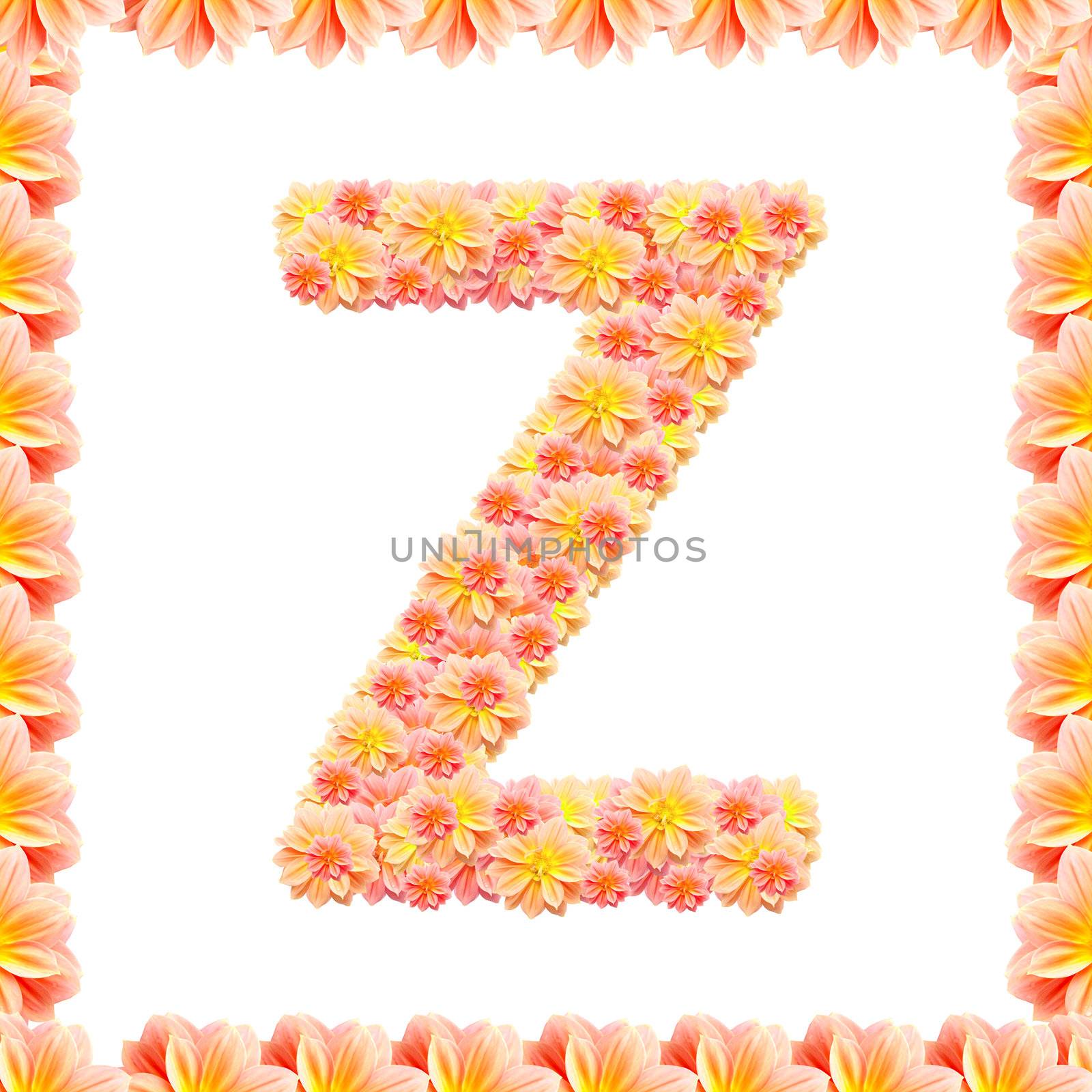 Z,flower alphabet isolated on white with flame by jakgree