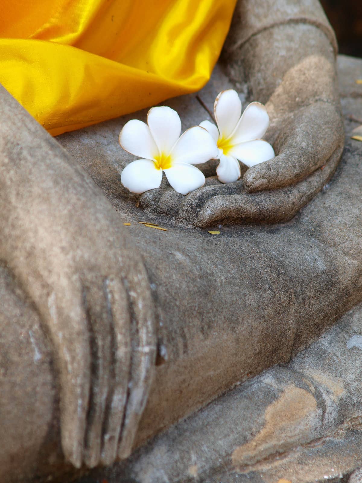 plumeria flower on ancient hand of buddha statue