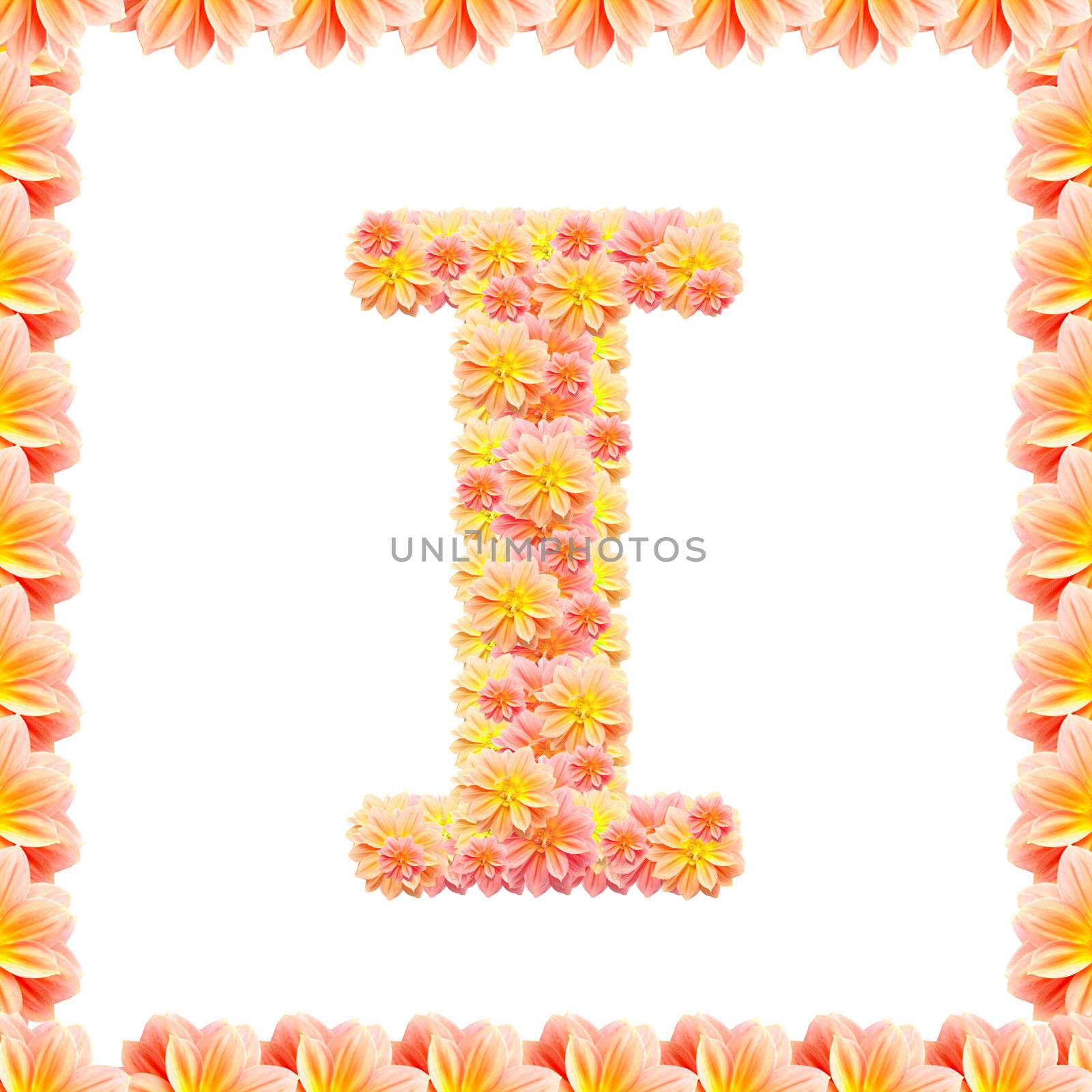 I,flower alphabet isolated on white with flame