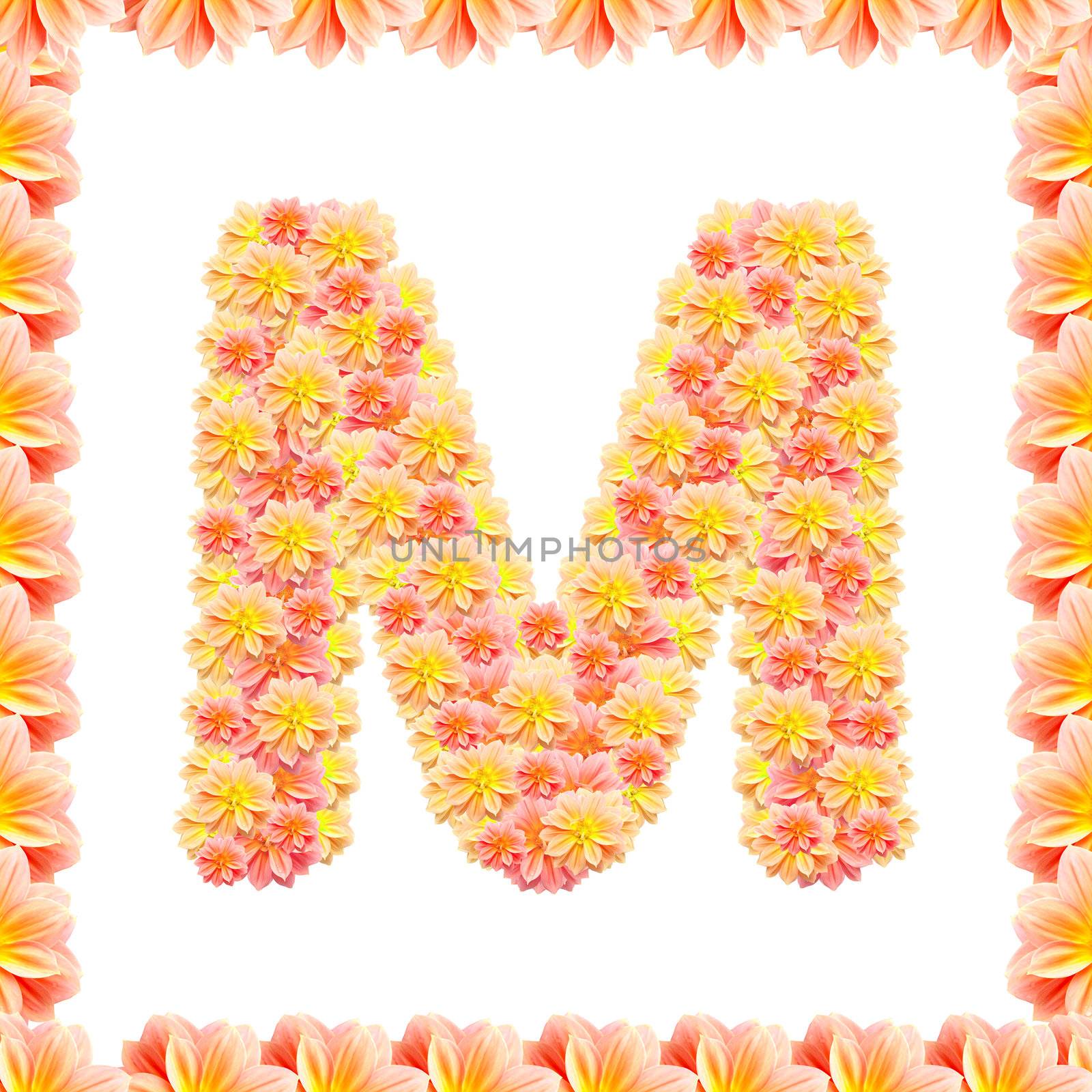 M,flower alphabet isolated on white with flame