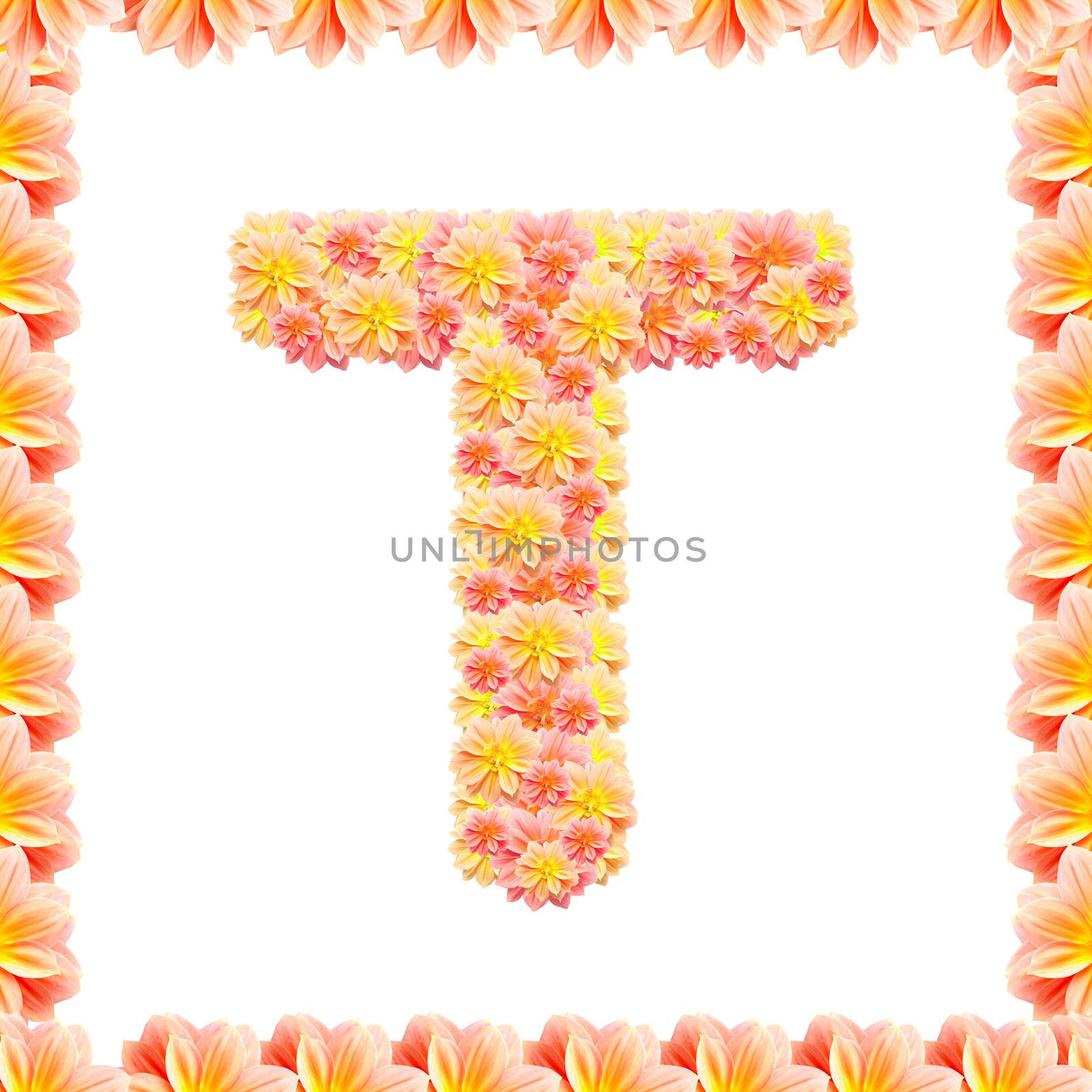 T,flower alphabet isolated on white with flame by jakgree