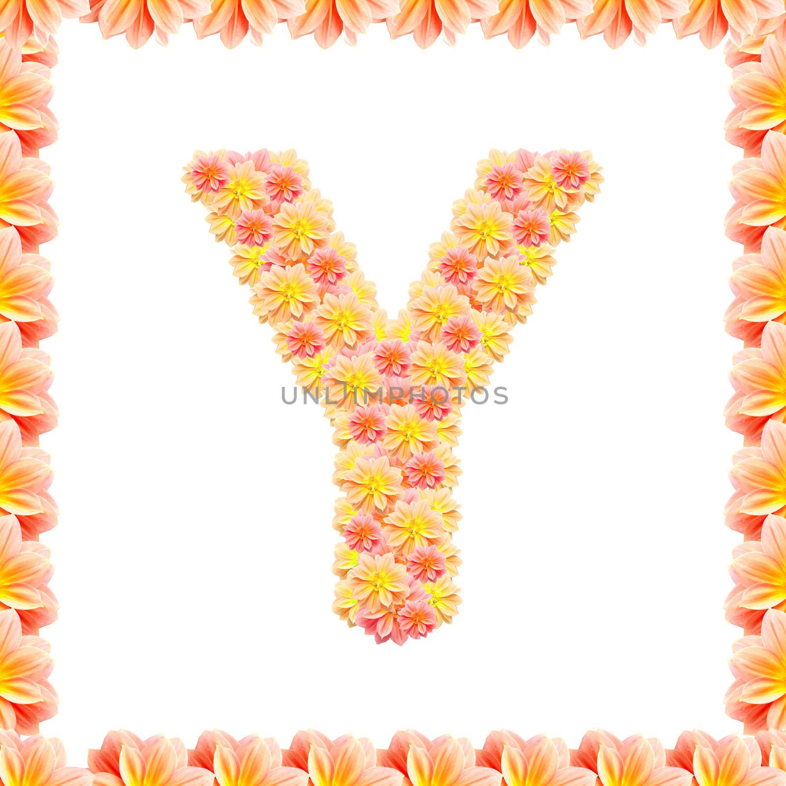 Y,flower alphabet isolated on white with flame by jakgree