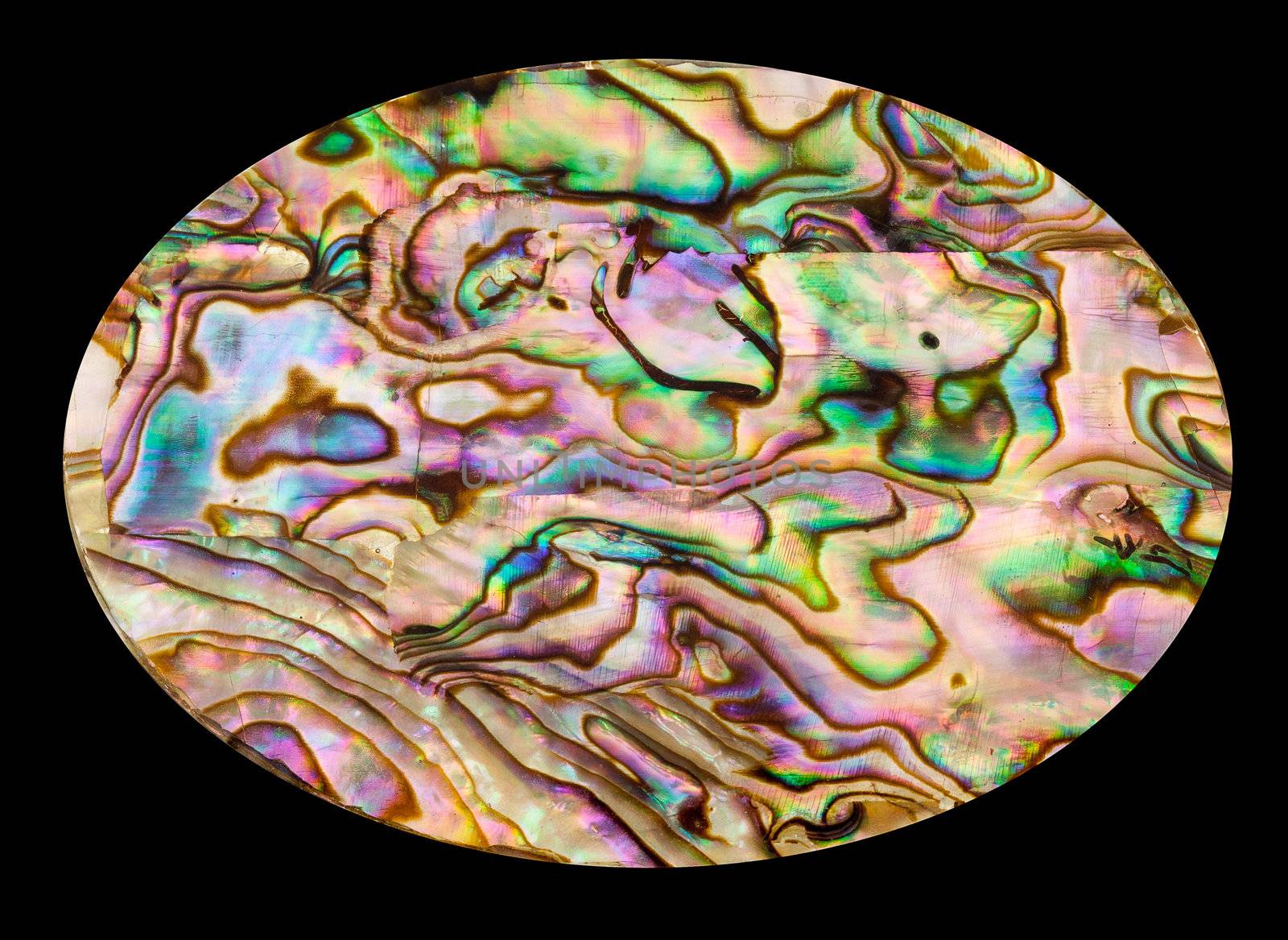 Isolated mother of pearl or nacre shell in oval shape against black