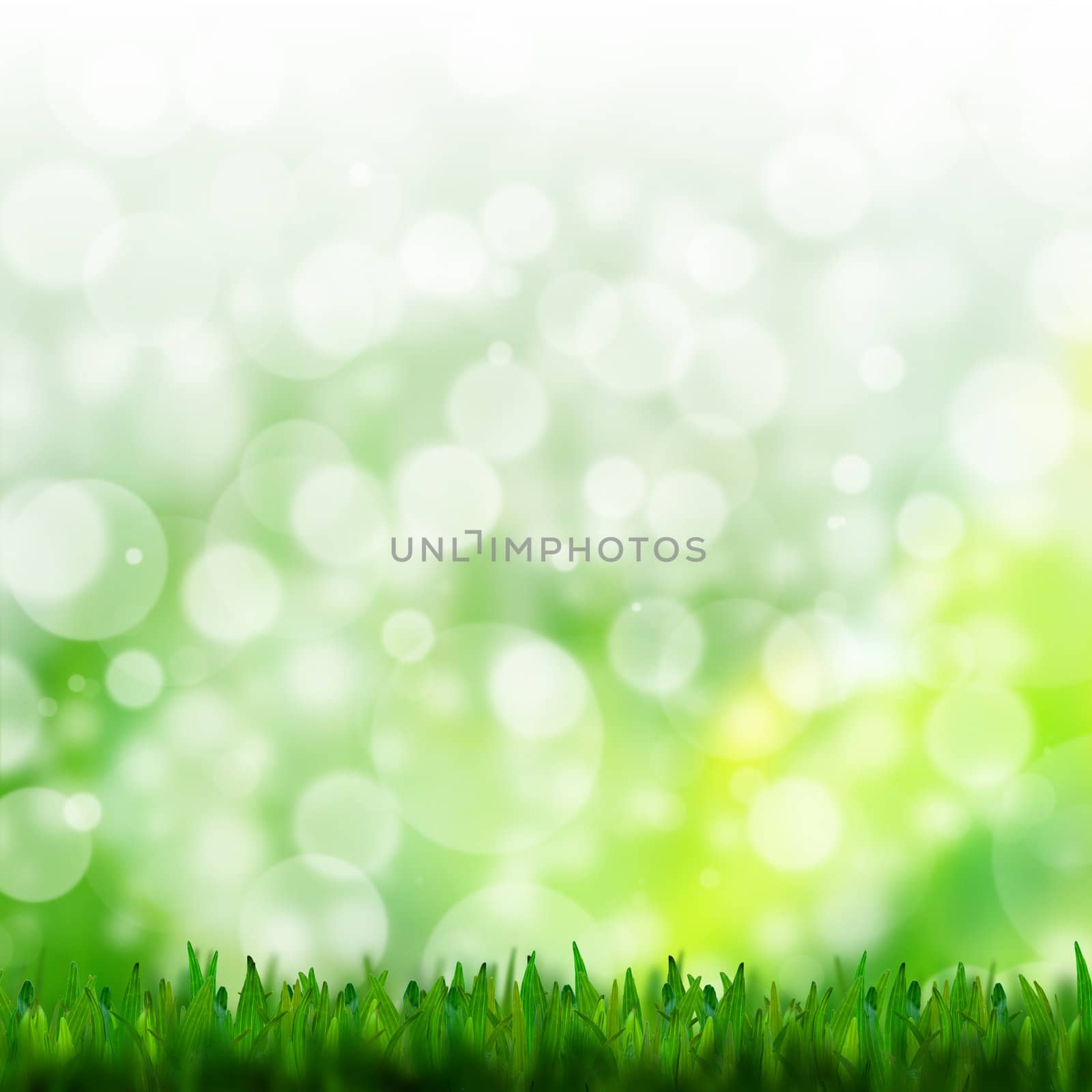 natural green background with selective focus by jakgree